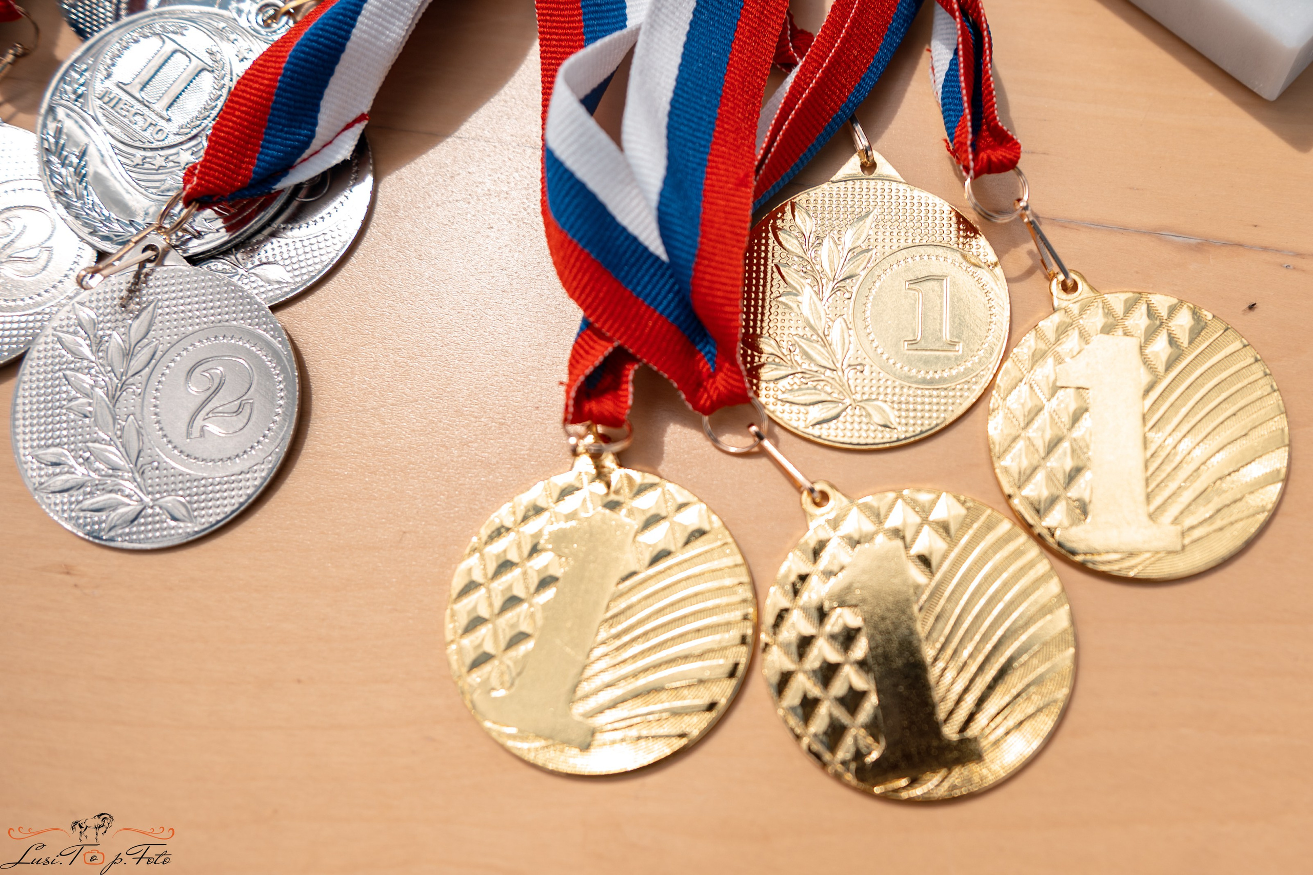 Областные соревнования по выездке. Тверь. Конный и фотограф с животными в Твери Топталова Люся