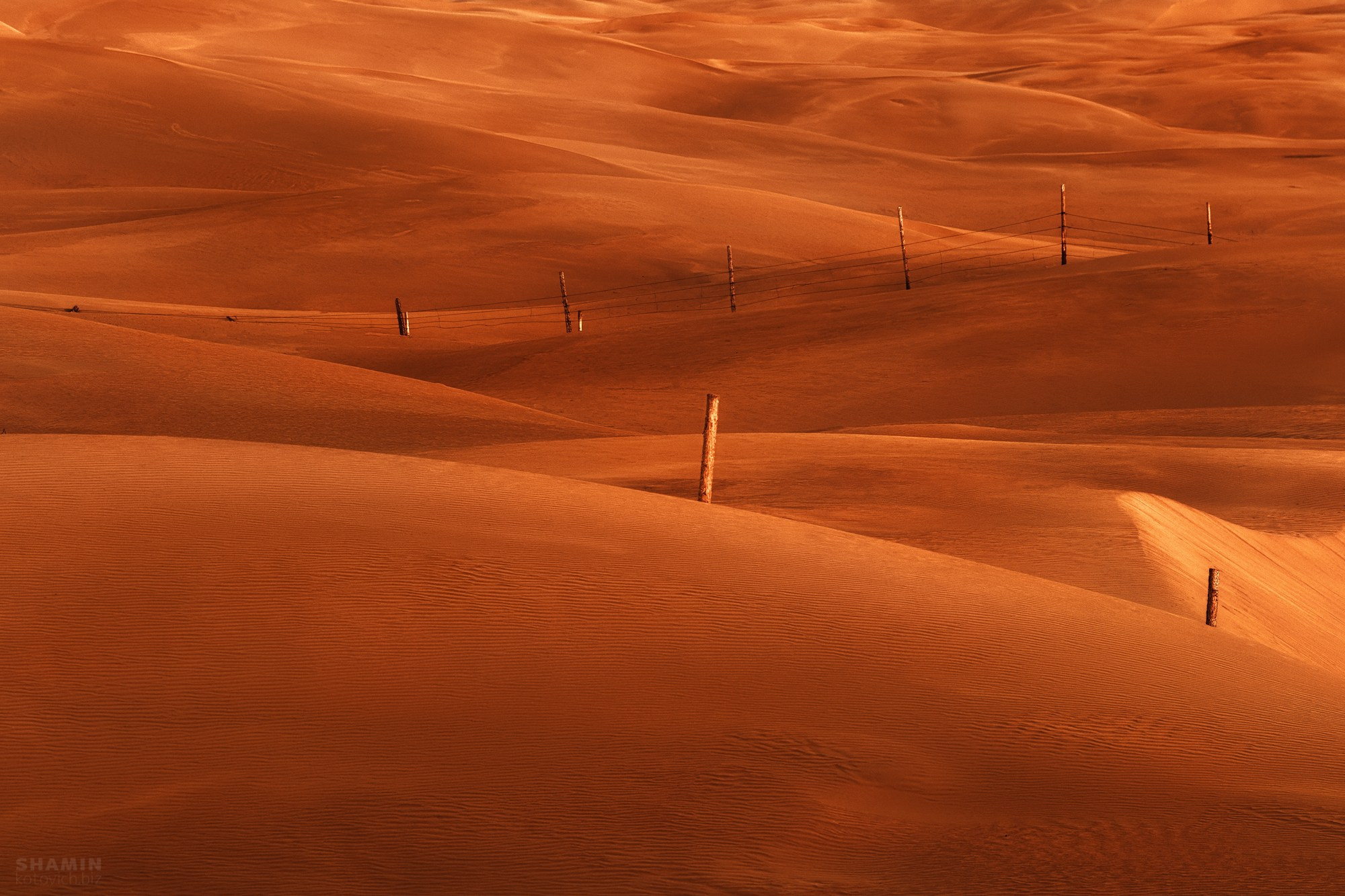 Проект 365. Фотограф Константин Шамин