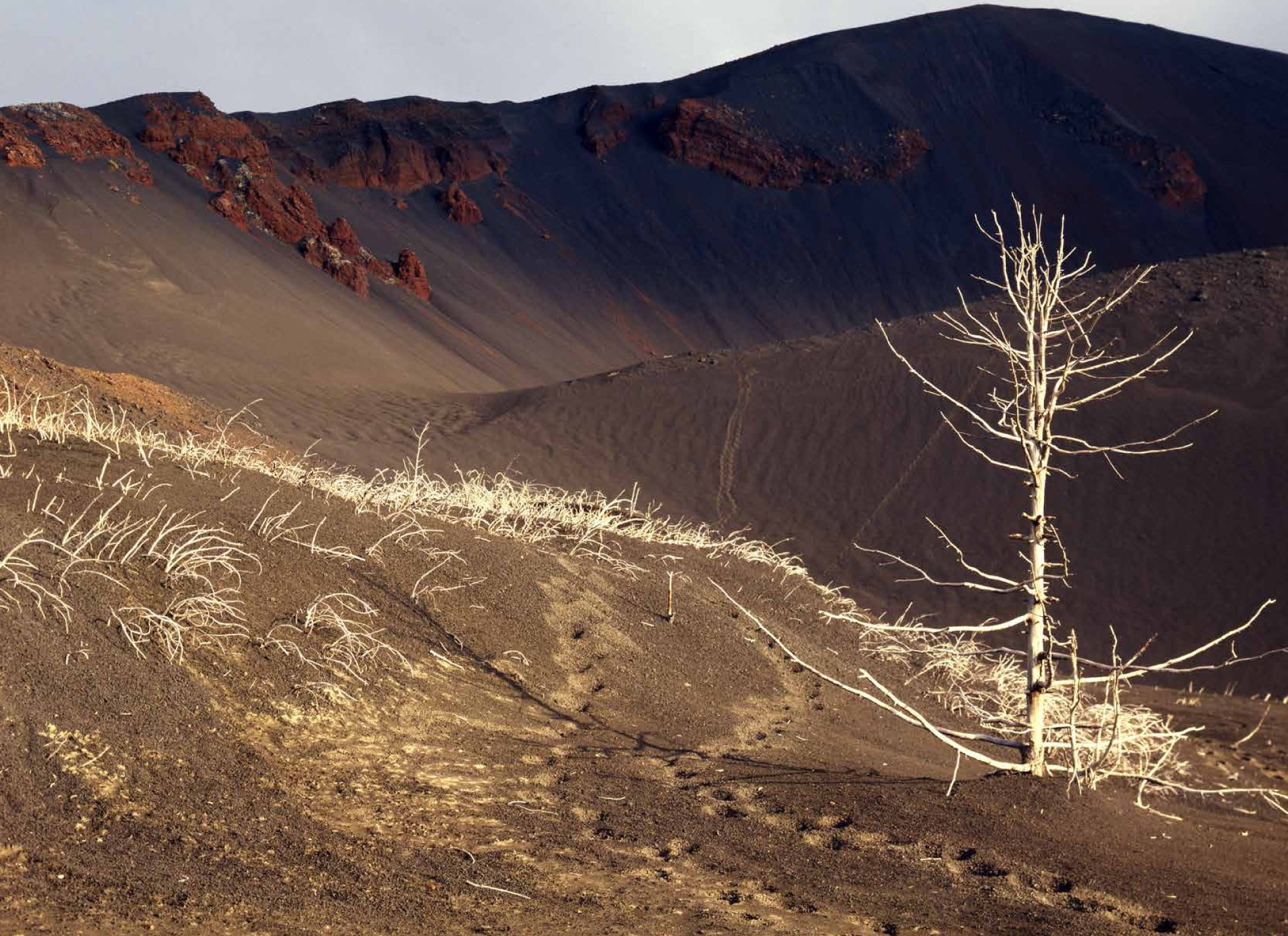 Коллекционные альбомы. ВАДИМ ГИППЕНРЕЙТЕР — ВЕЛИКИЙ ФОТОГРАФ ЗЕМЛИ РУССКОЙ