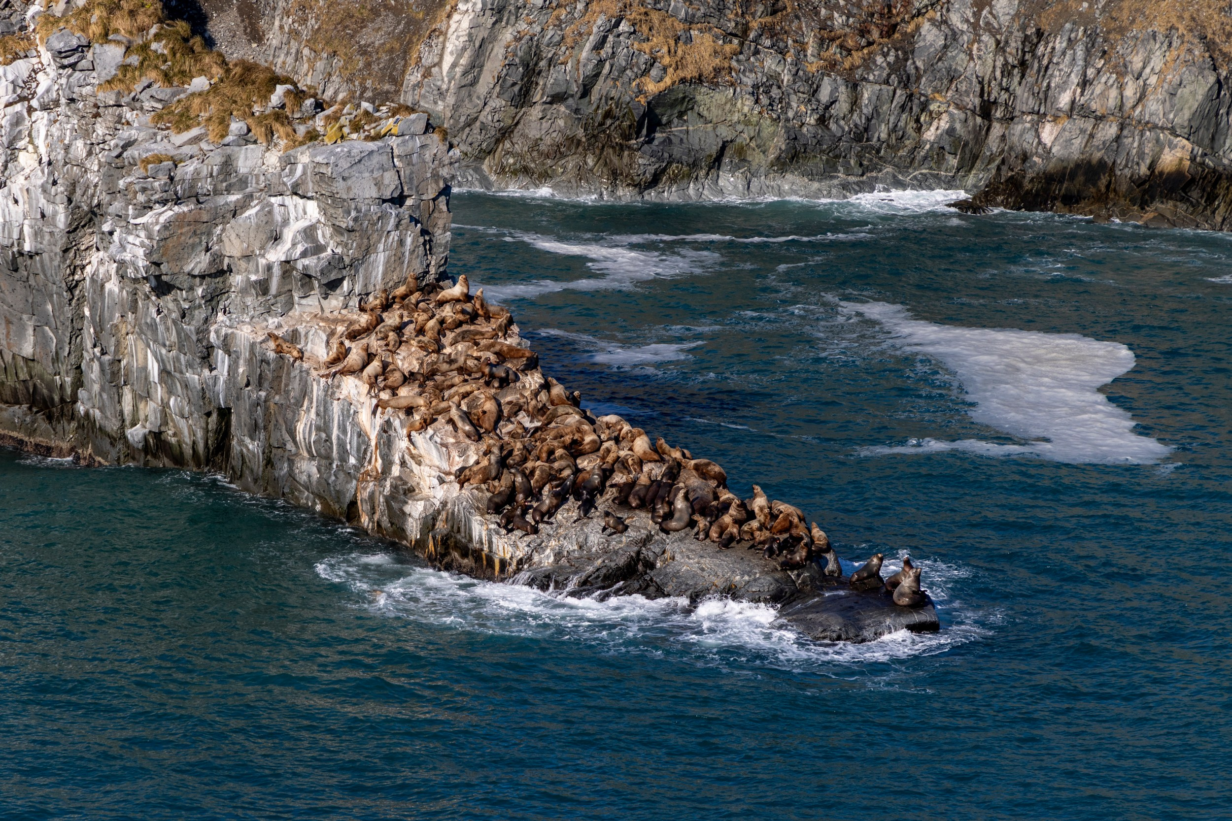Вертолетные экскурсии ЗИМА. Время Камчатки: чтобы найти свой путь, нужно скорость умножить на время