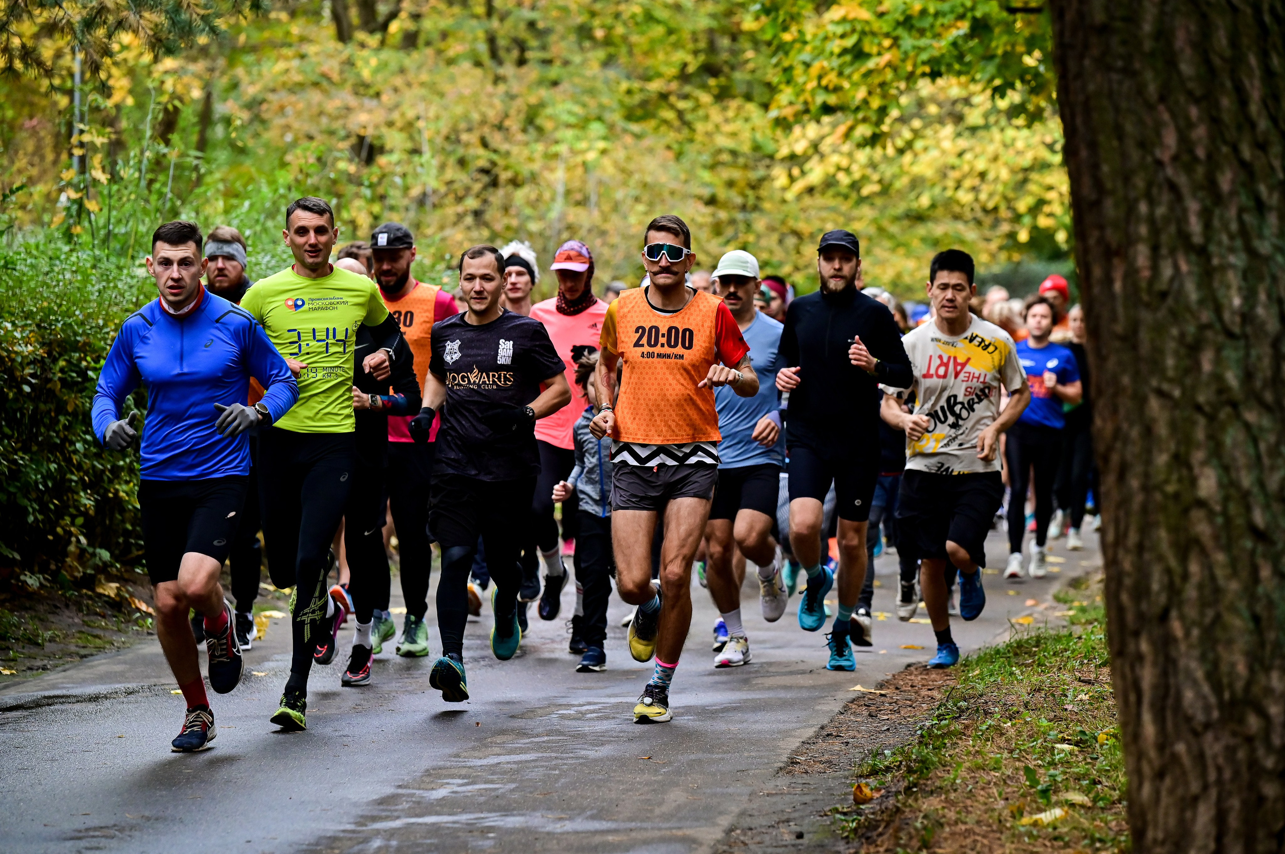 S95 Кузьминки Предмарафонский (12.10.24). Фотограф | Ирина Гамзинова | Москва