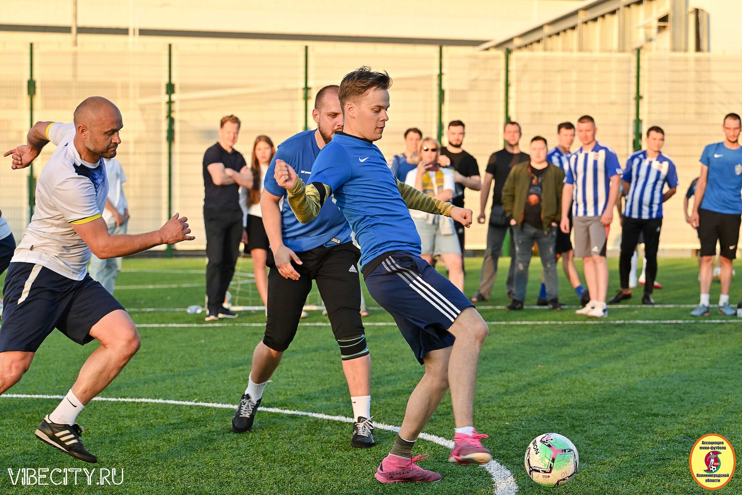 ИГРЫ МИНИ-ФУТБОЛЬНОЙ И КОРПОРАТИВНОЙ ЛИГИ. VIBECITY.RU Вайб Сити Ру Фоторепортажи Фотоотчеты Калининград