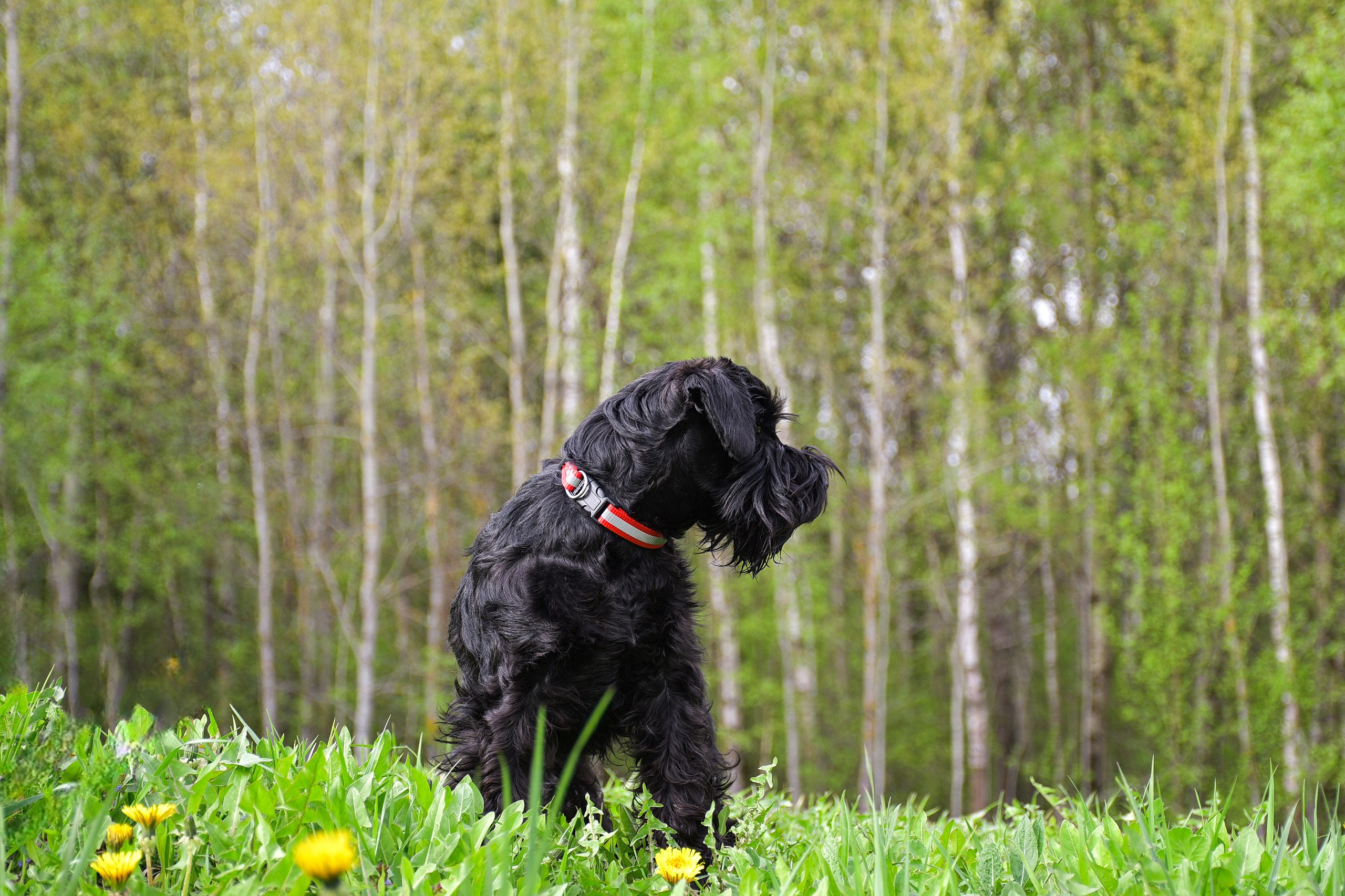 В созвучии с природой. Фотограф Светлана В. Пронина, Москва