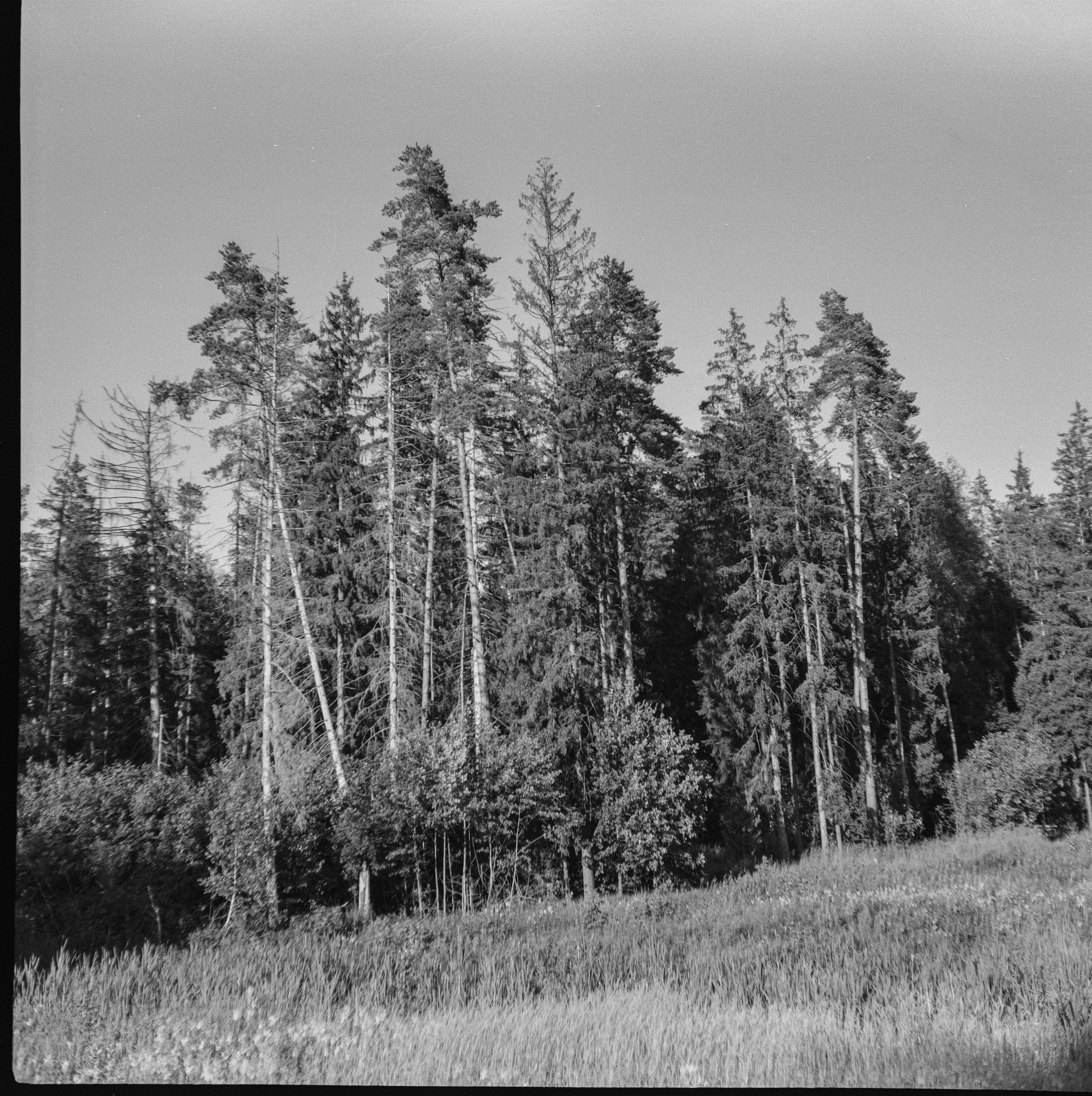 Franka Solida III — Sсhneider-Kreuznach Radionar 80 mm f2.9 V