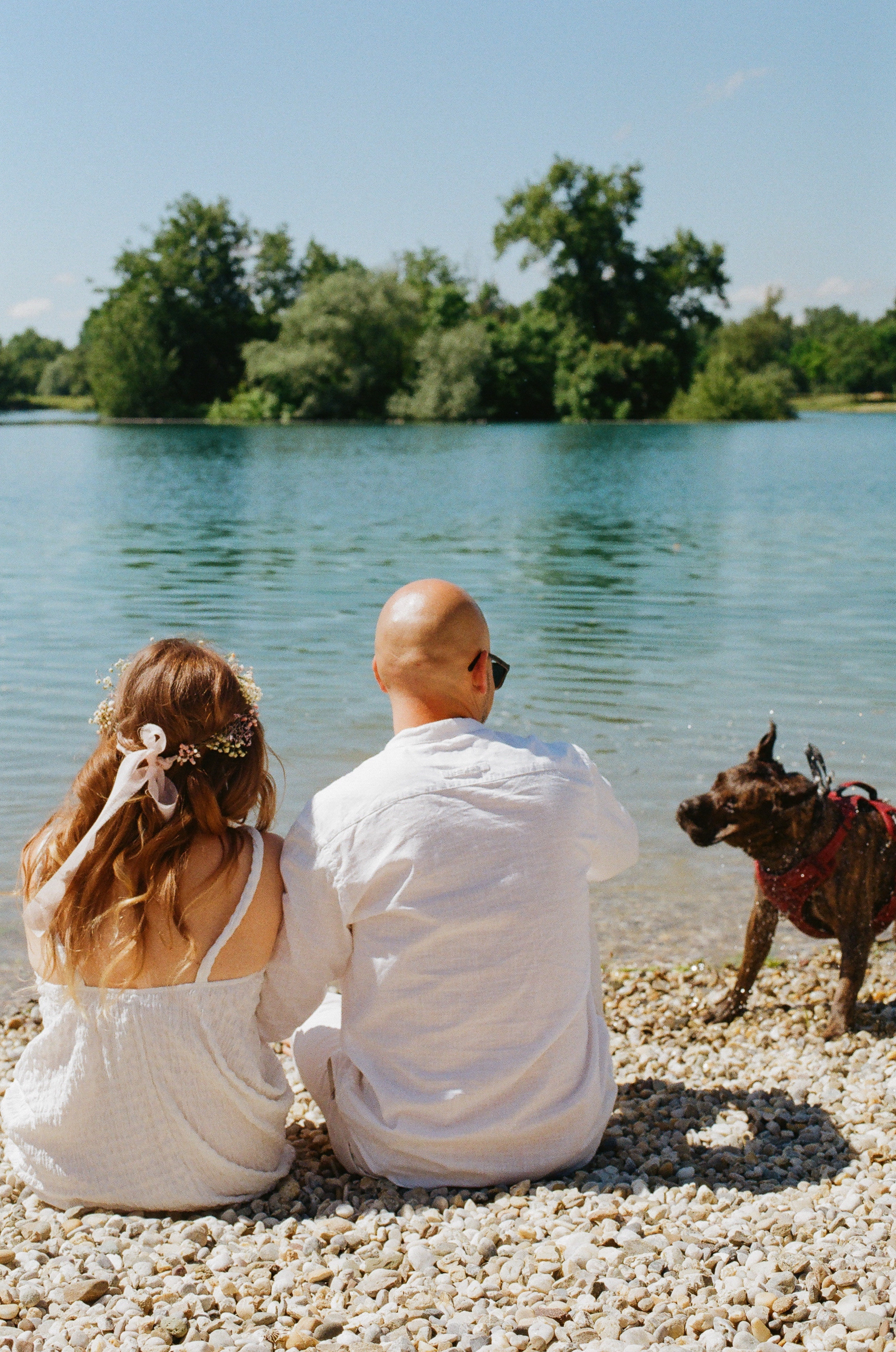 a husband and wife with their dog sitting on the beach