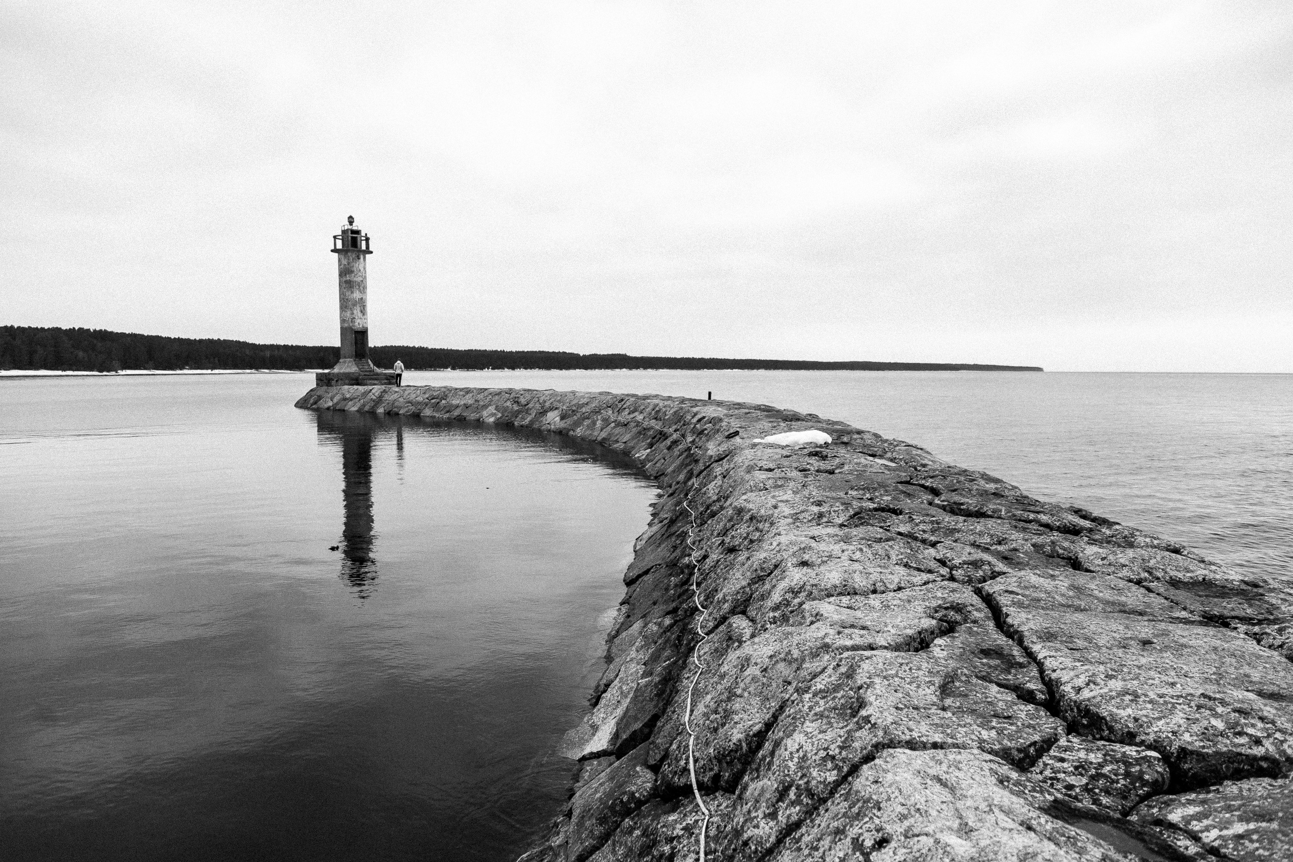КУПИТЬ ПРИНТЫ. Контент-фотограф в Санкт-Петербурге Александра Бородина