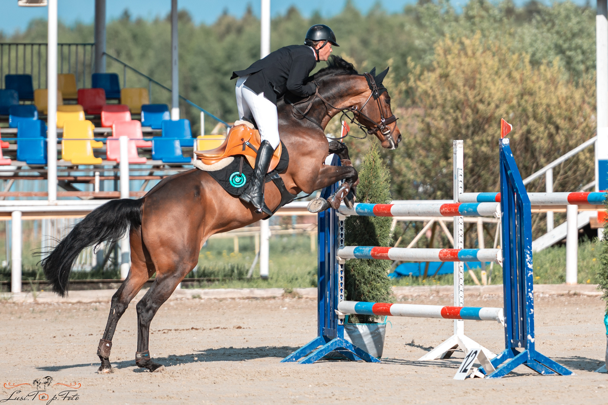 Конаковские Конюшни 4 день. Конный и фотограф с животными в Твери Топталова Люся