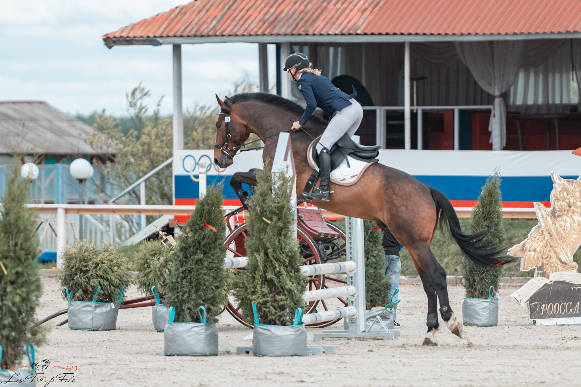 Конаковские Конюшни 2 день. Конный и фотограф с животными в Твери Топталова Люся
