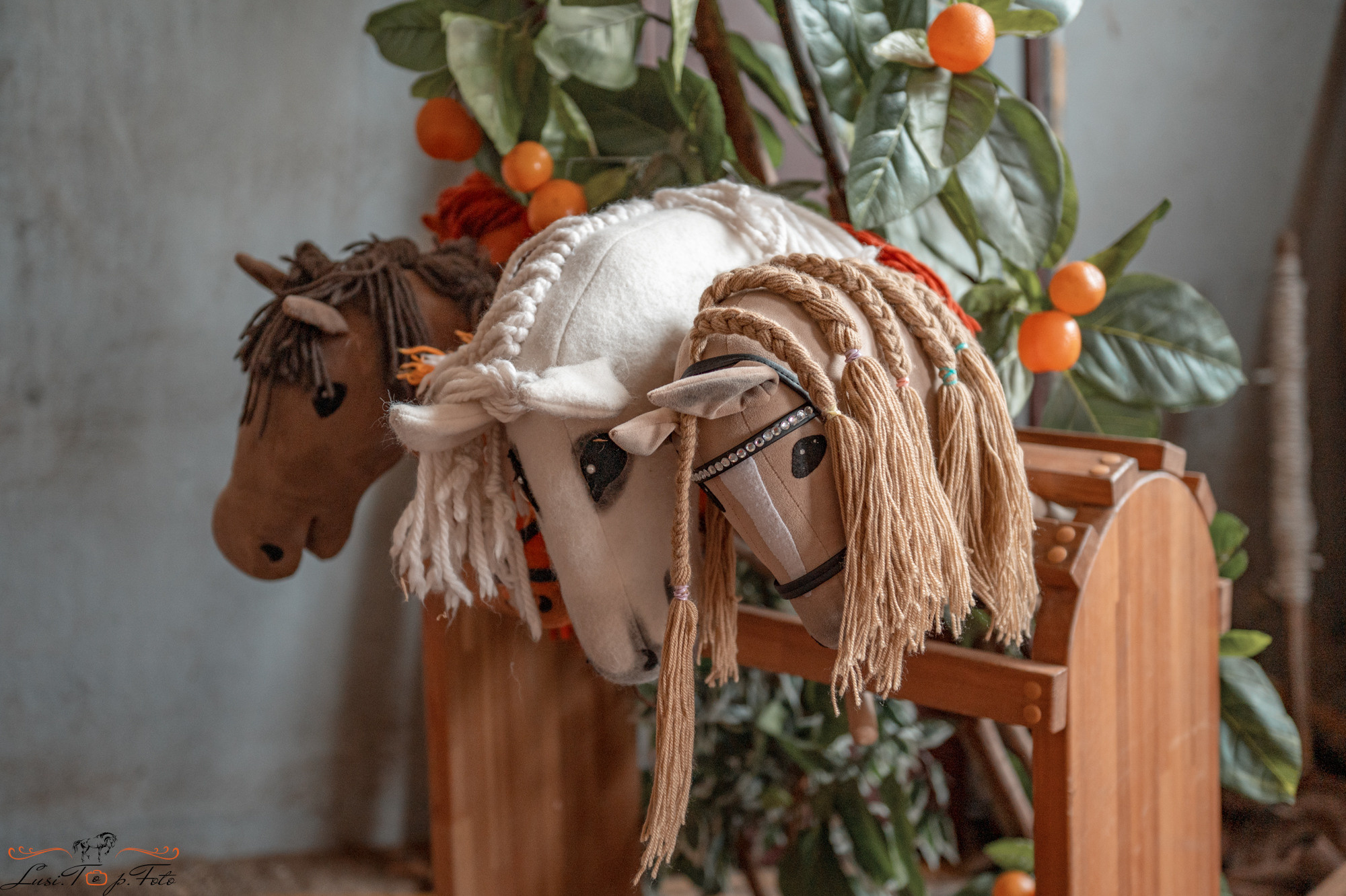 Областные соревнования по выездке. КСЦ им. Н. Серовой Тверь. Конный и фотограф с животными в Твери Топталова Люся