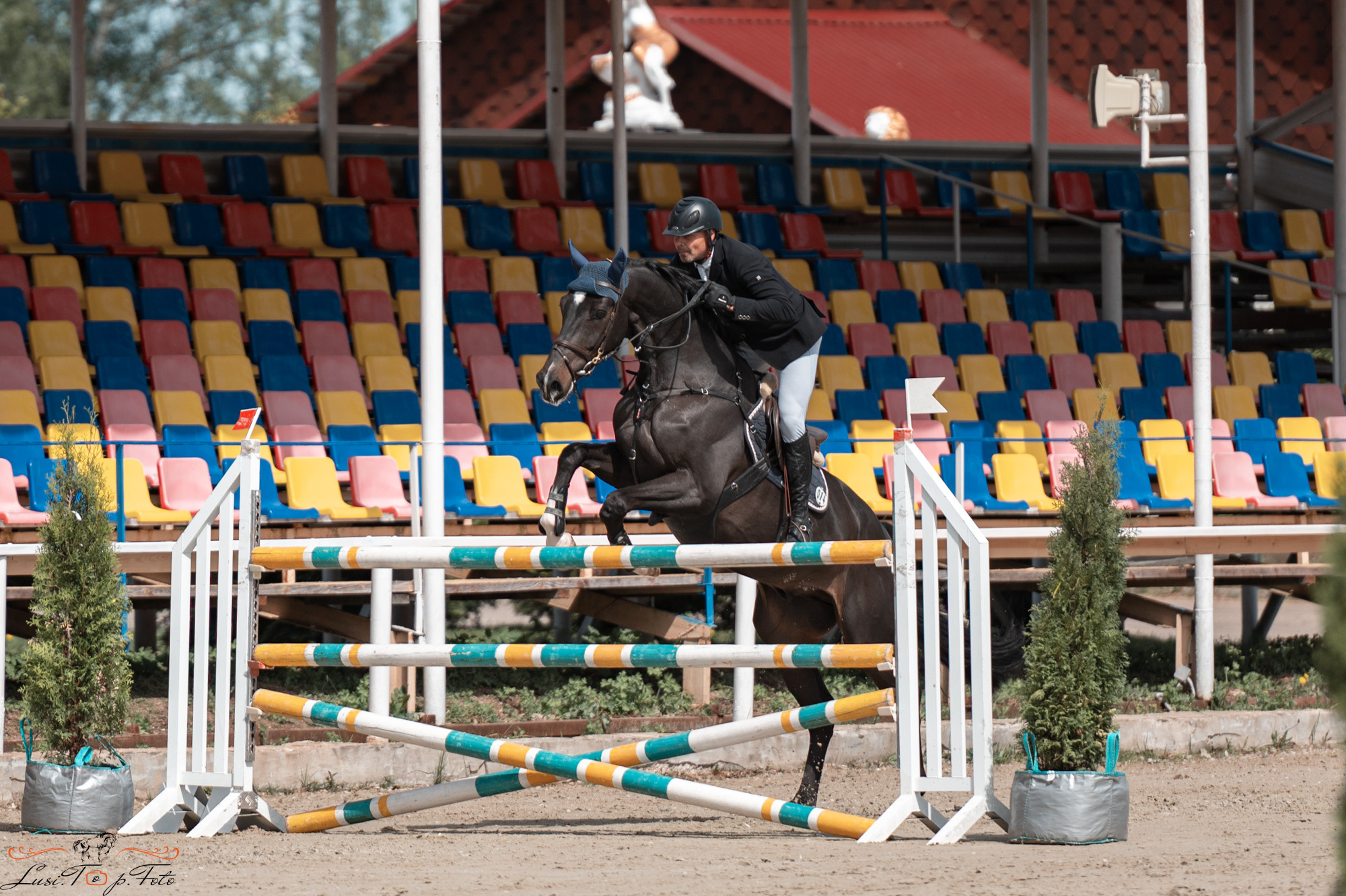 Конаковские Конюшни 2 день. Конный и фотограф с животными в Твери Топталова Люся