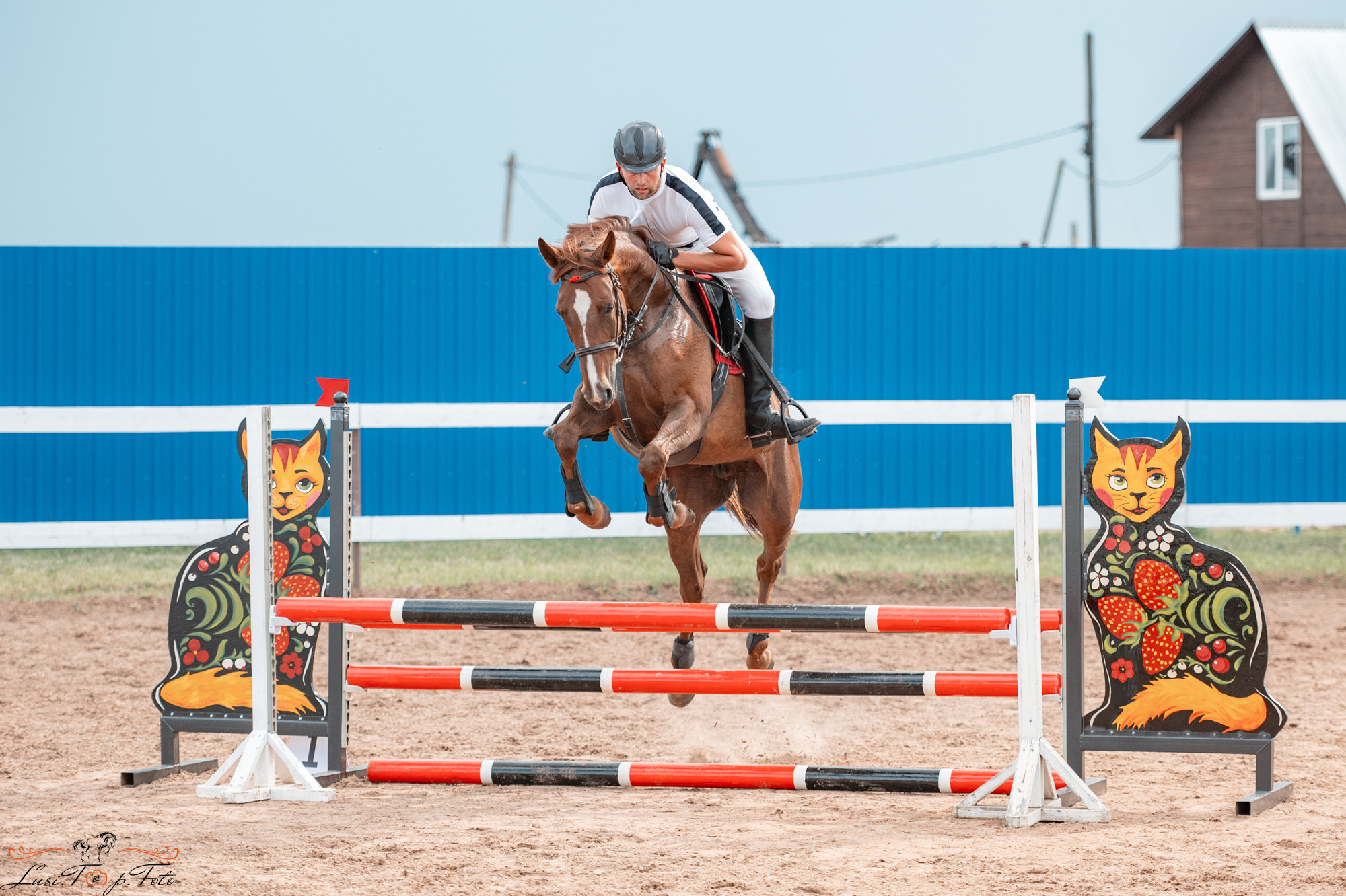 Конкур в КК «Резвая». Конный и фотограф с животными в Твери Топталова Люся