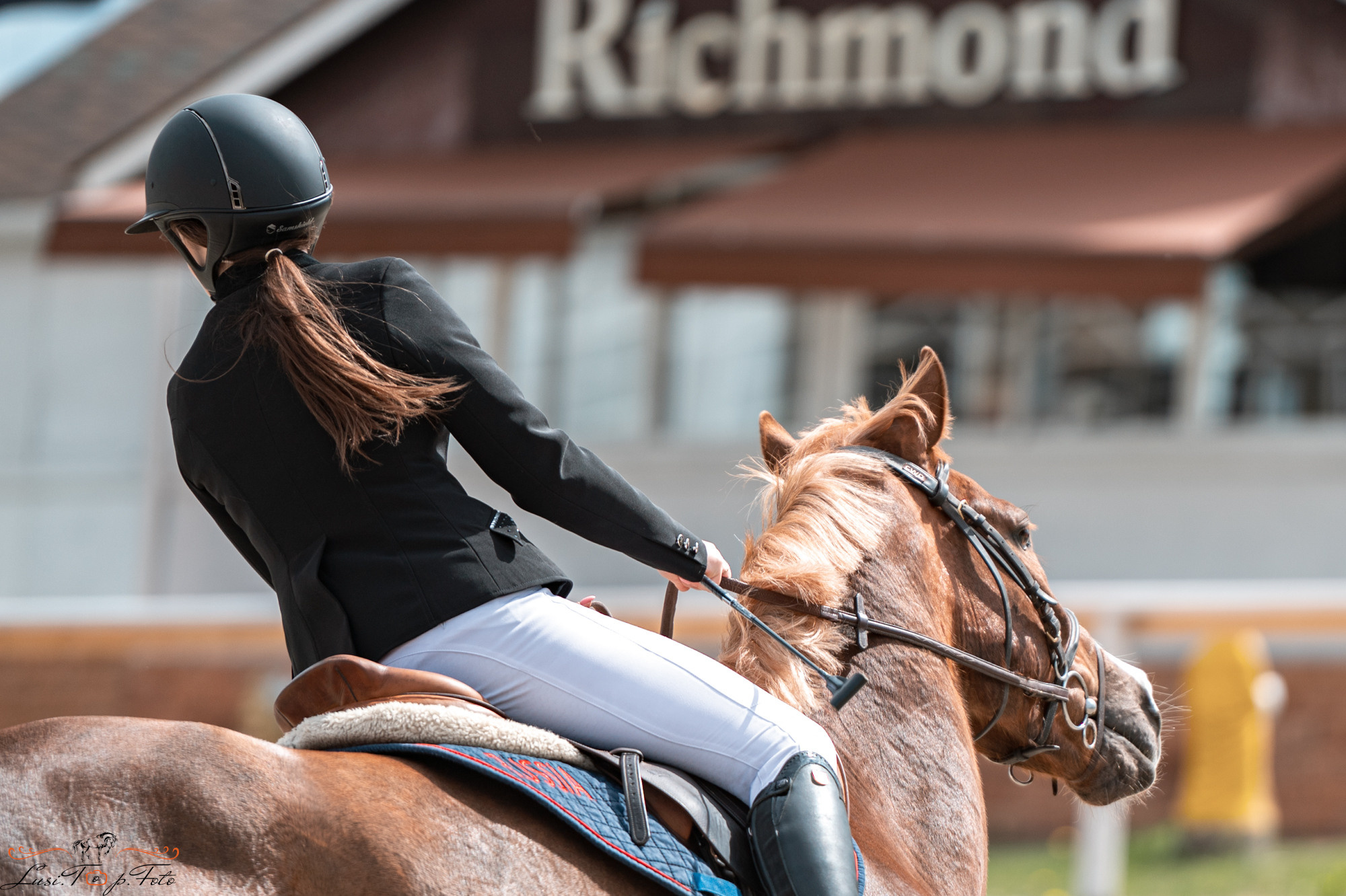 Конаковские Конюшни 4 день. Конный и фотограф с животными в Твери Топталова Люся