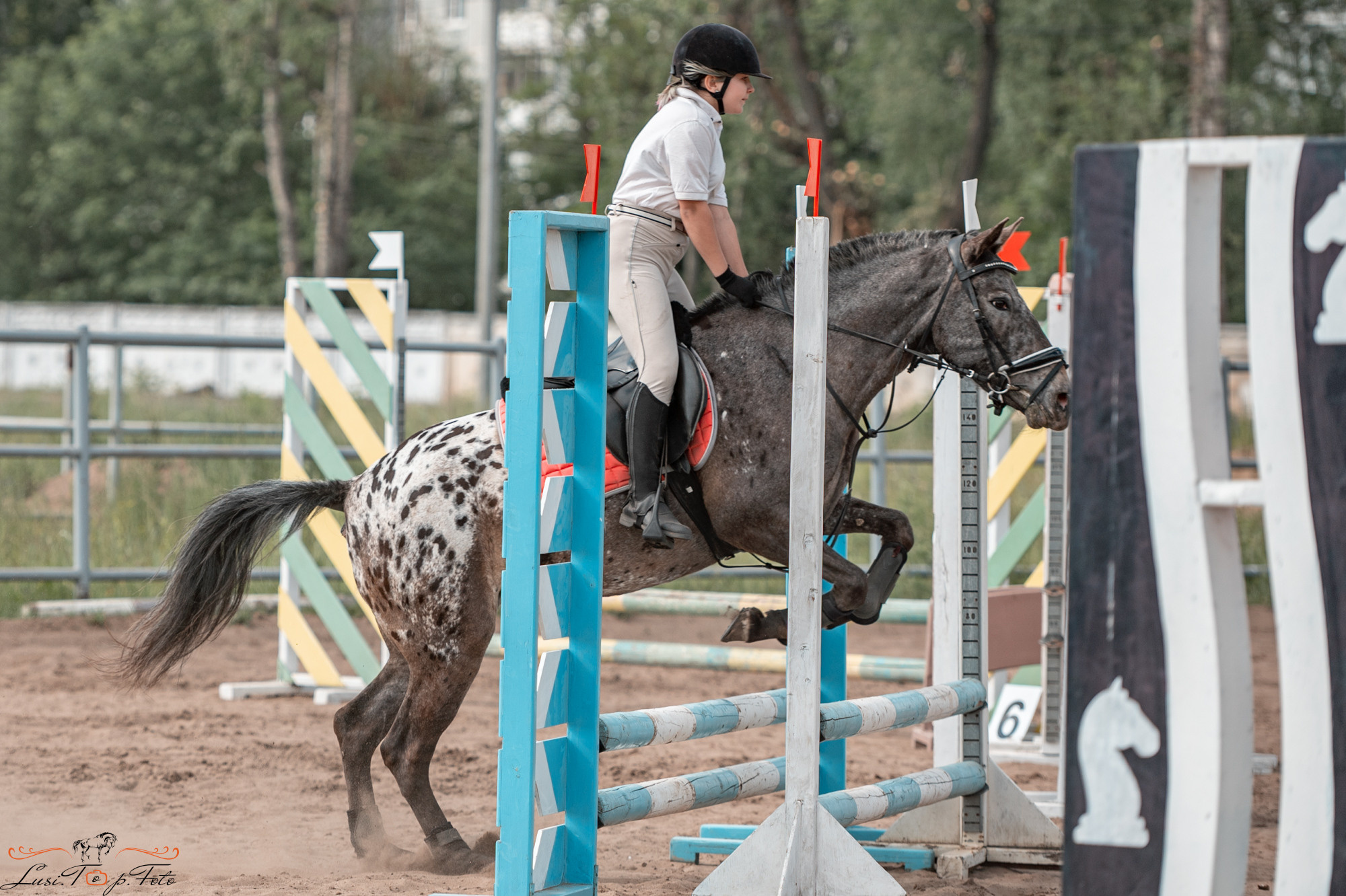 Областные соревнования по конкуру. Тверь. Конный и фотограф с животными в Твери Топталова Люся