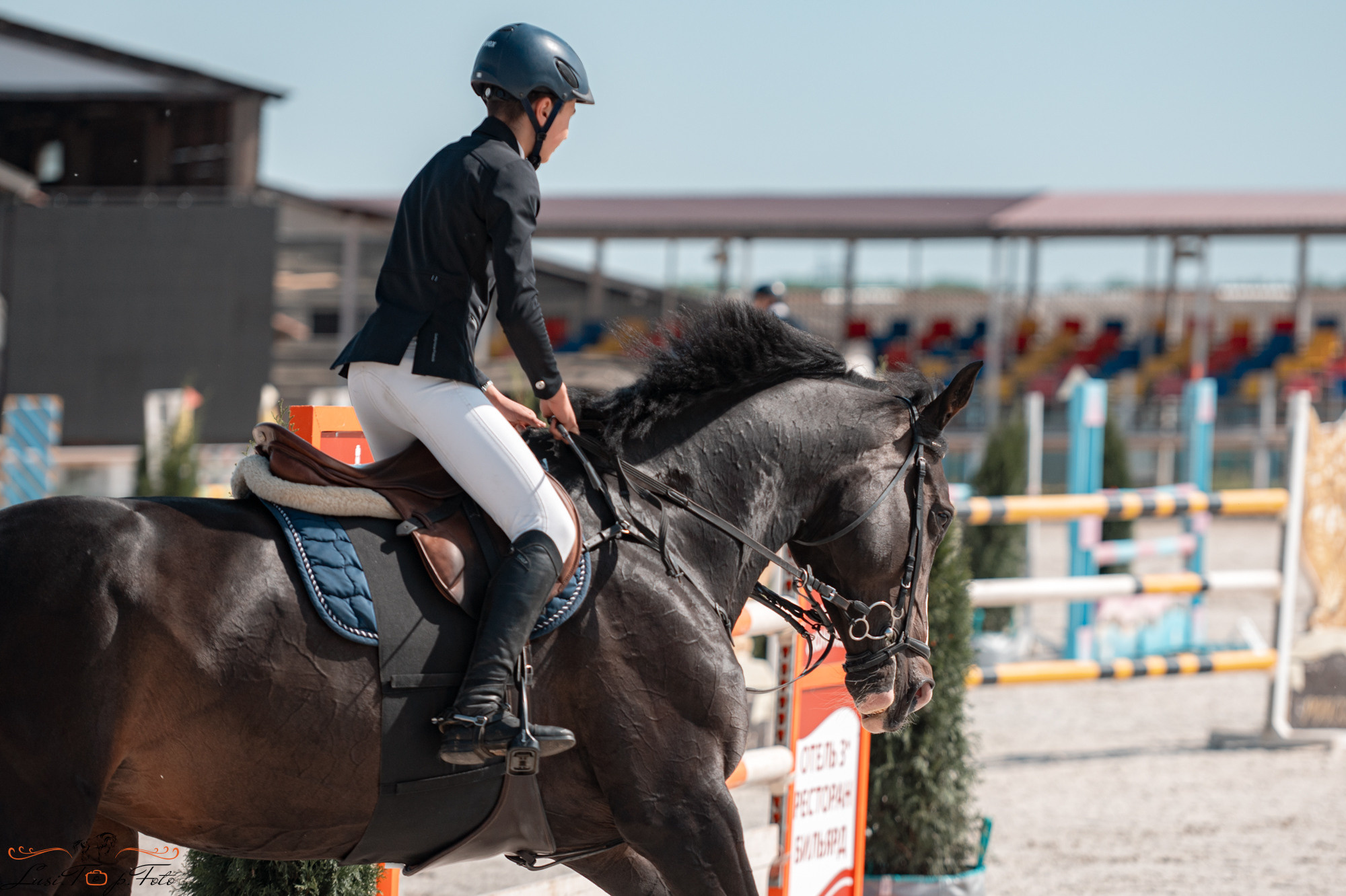 Конаковские Конюшни день 1. Конный и фотограф с животными в Твери Топталова Люся
