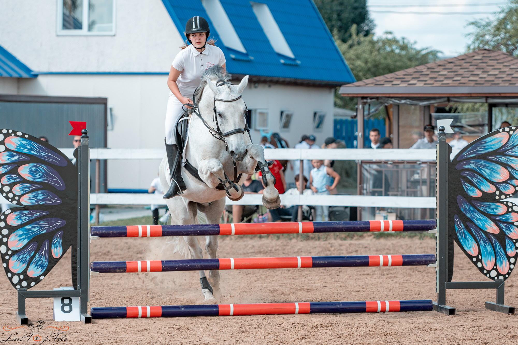 Конкур в КК «Резвая». Конный и фотограф с животными в Твери Топталова Люся