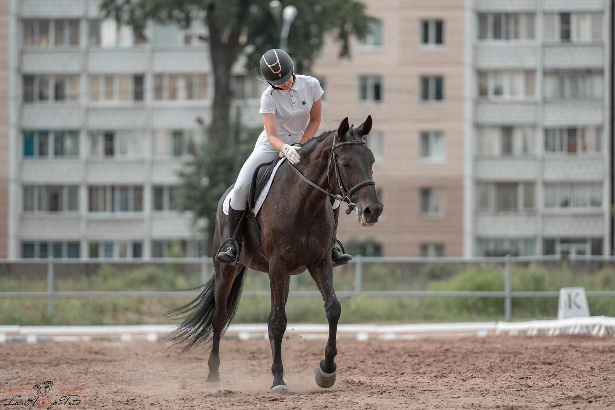 Областные соревнования по выездке. КСЦ им. Н. Серовой Тверь. Конный и фотограф с животными в Твери Топталова Люся