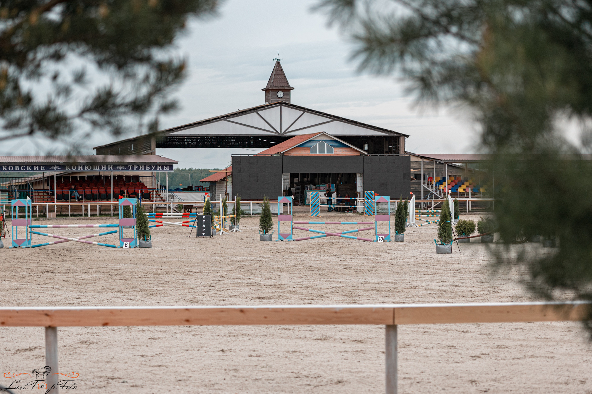 Конаковские Конюшни день 1. Конный и фотограф с животными в Твери Топталова Люся