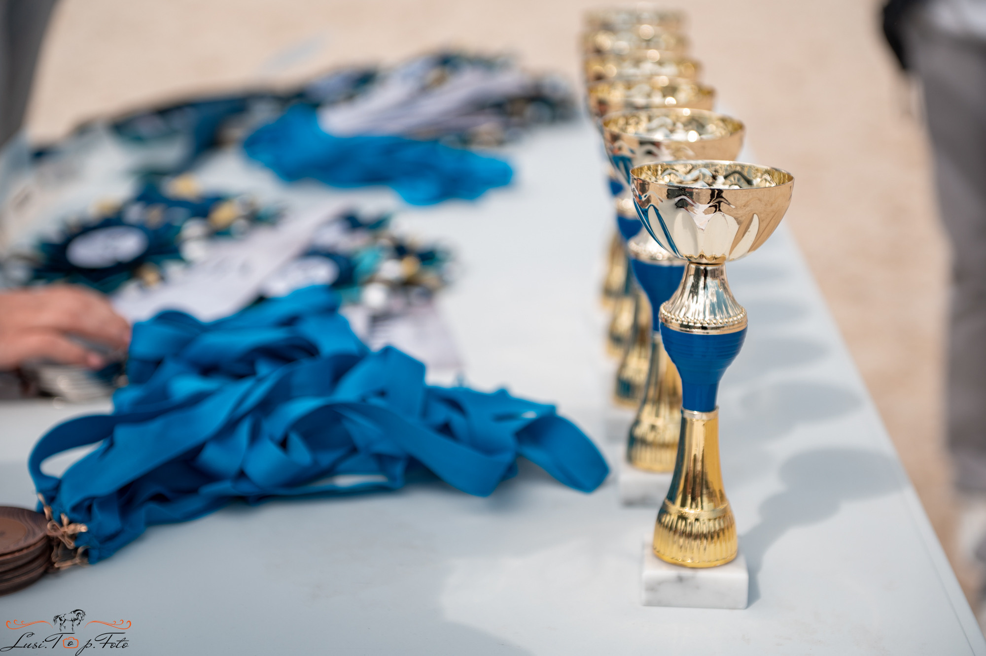 Конкур на призы конного клуба «EQUIPARK». Конный и фотограф с животными в Твери Топталова Люся