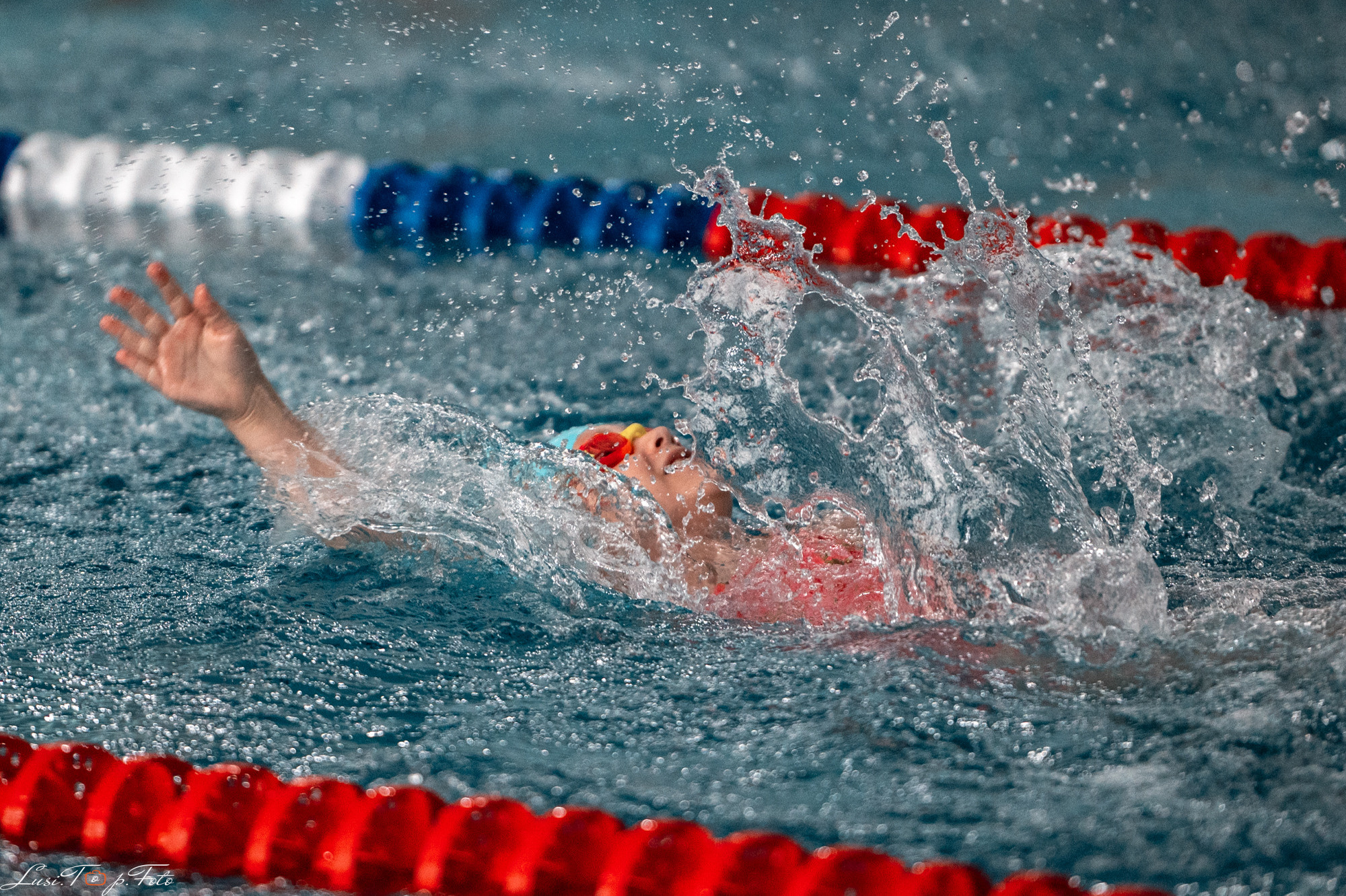 Соревнования по плаванию «Весенние веселые старты». Конный и фотограф с животными в Твери Топталова Люся