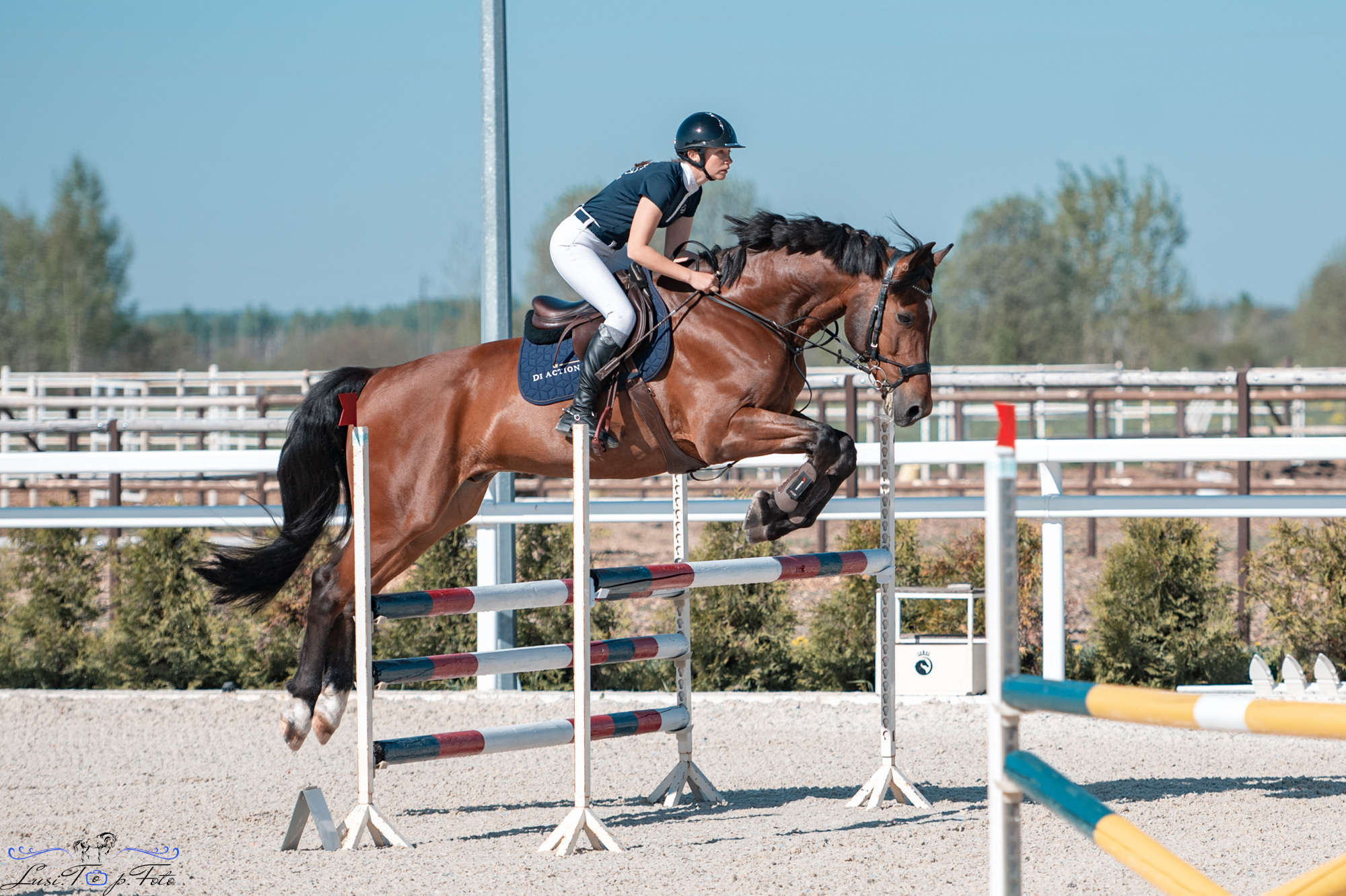 Конкур на призы конного клуба «EQUIPARK». Конный и фотограф с животными в Твери Топталова Люся