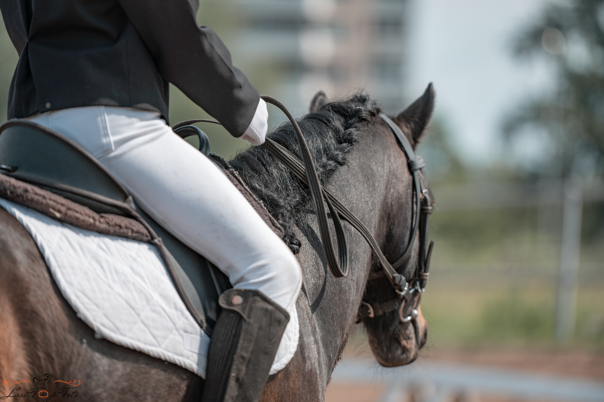 Областные соревнования по выездке. КСЦ им. Н. Серовой Тверь. Конный и фотограф с животными в Твери Топталова Люся