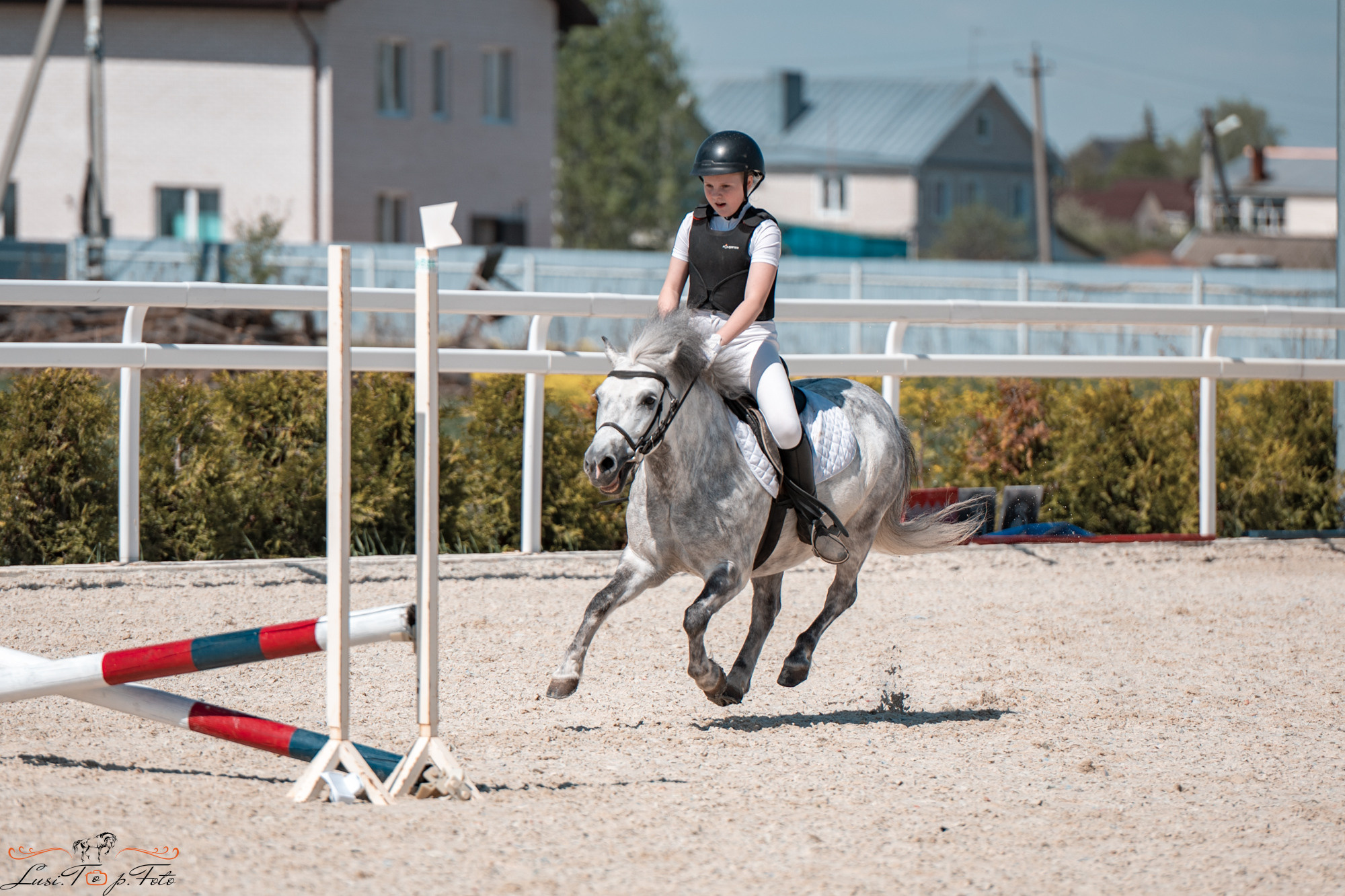 Конкур на призы конного клуба «EQUIPARK». Конный и фотограф с животными в Твери Топталова Люся