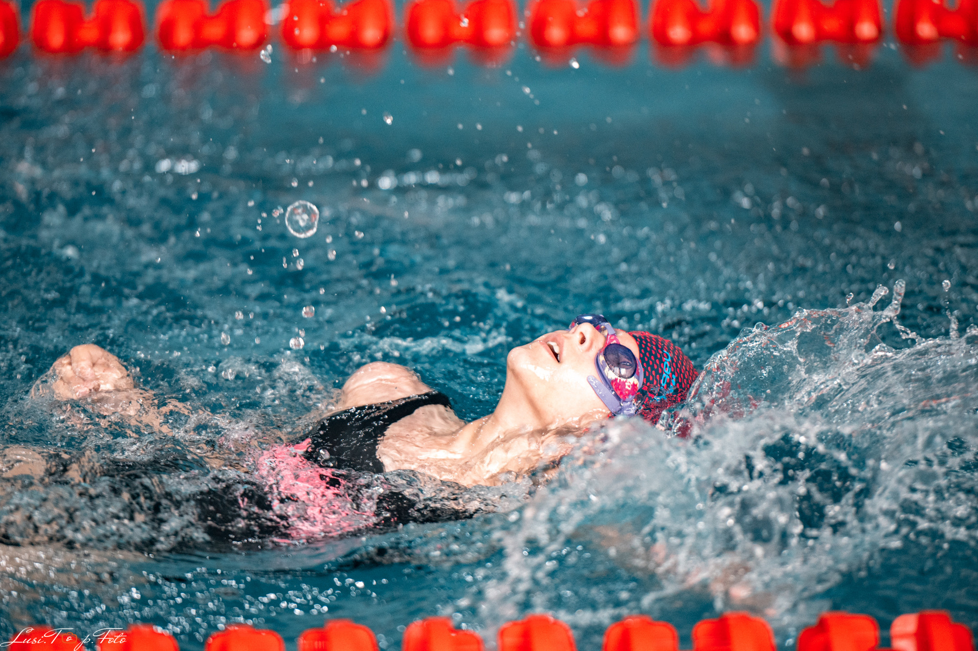 Соревнования по плаванию «Весенние веселые старты». Конный и фотограф с животными в Твери Топталова Люся