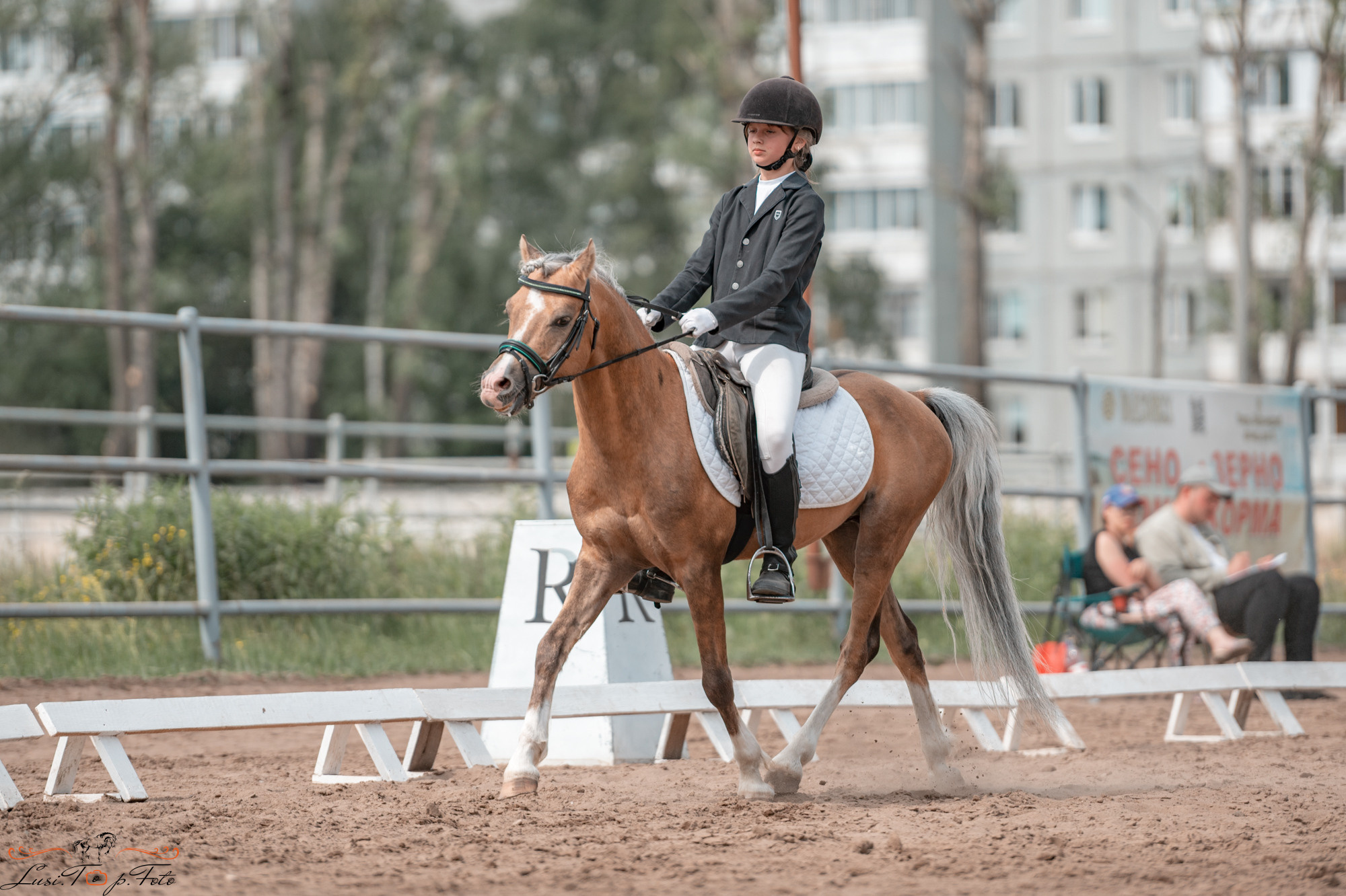 Областные соревнования по выездке. КСЦ им. Н. Серовой Тверь. Конный и фотограф с животными в Твери Топталова Люся