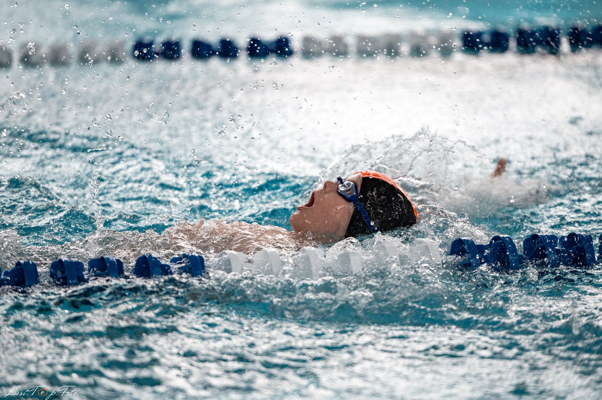 Соревнования по плаванию «Весенние веселые старты». Конный и фотограф с животными в Твери Топталова Люся
