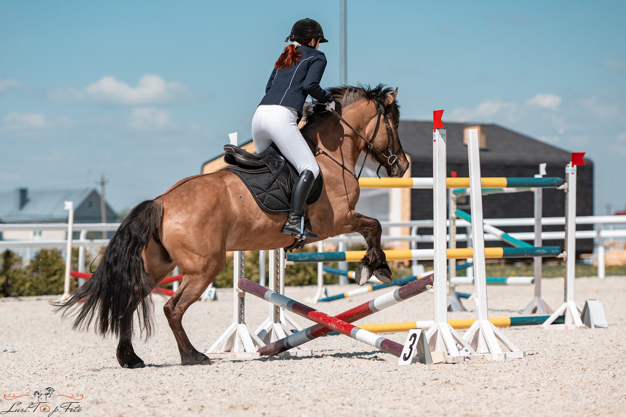 Конкур на призы конного клуба «EQUIPARK». Конный и фотограф с животными в Твери Топталова Люся