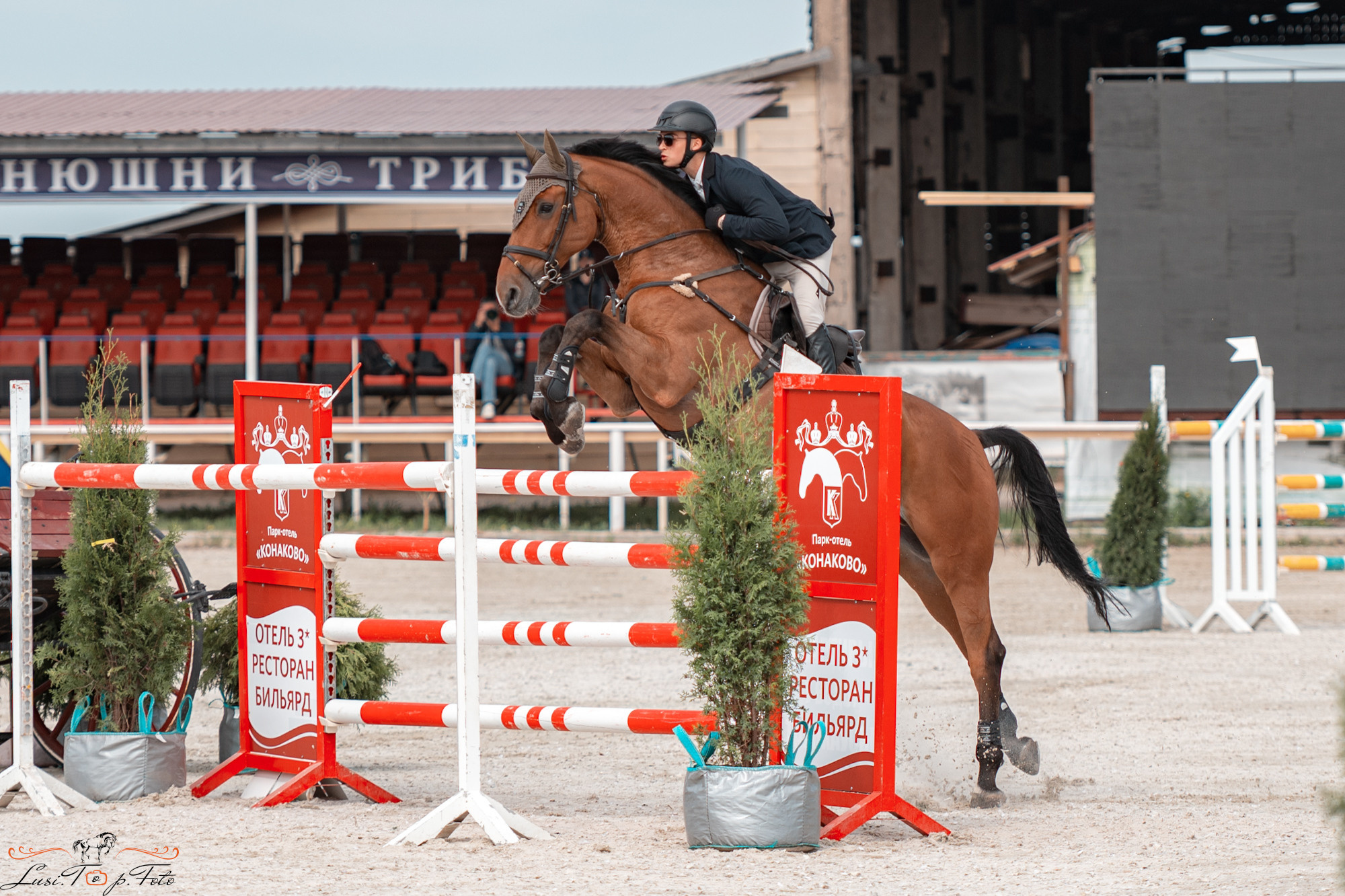 Конаковские Конюшни день 1. Конный и фотограф с животными в Твери Топталова Люся