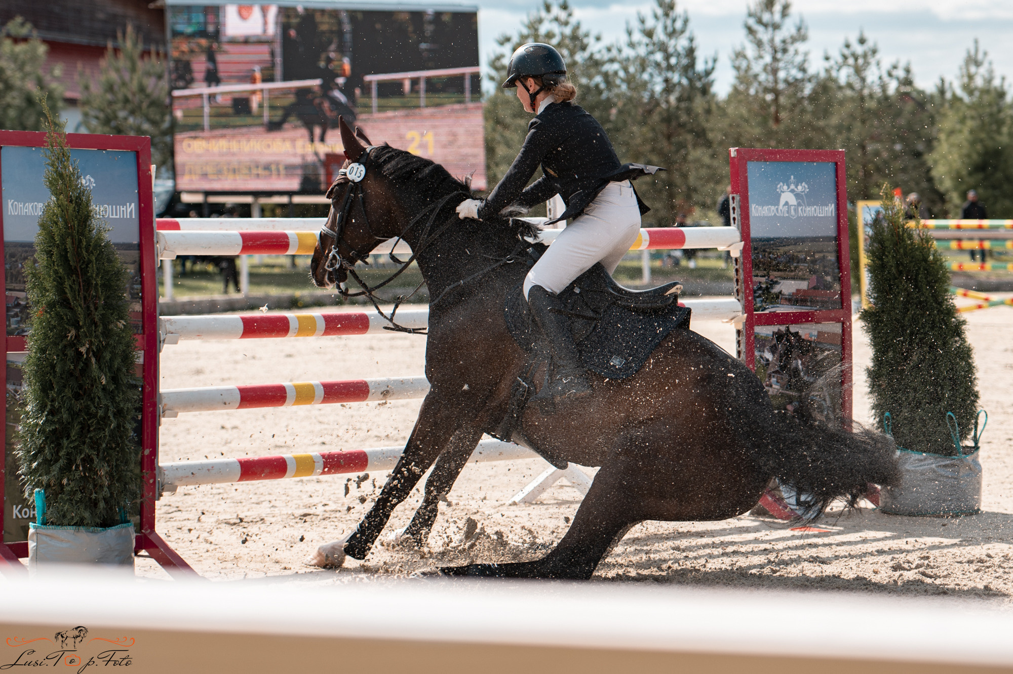 Конаковские Конюшни 3 день. Конный и фотограф с животными в Твери Топталова Люся