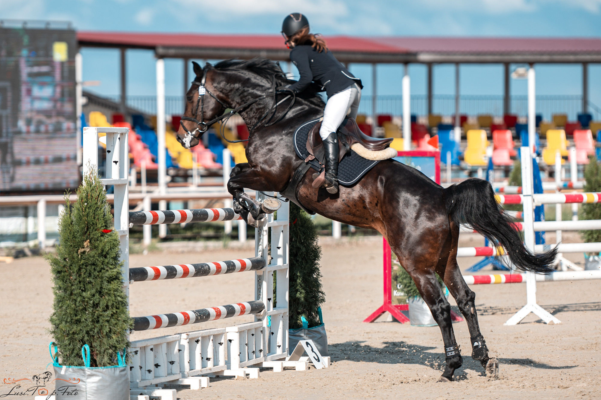 Конаковские Конюшни 4 день. Конный и фотограф с животными в Твери Топталова Люся