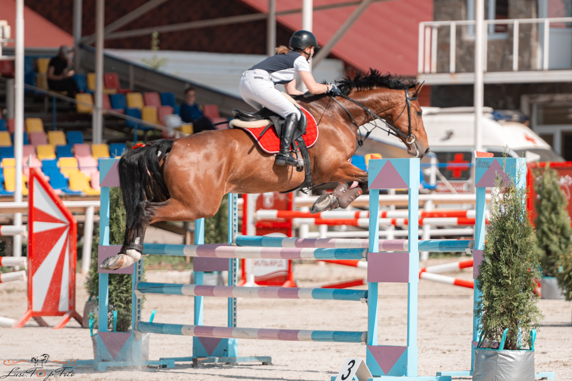 Конаковские Конюшни день 1. Конный и фотограф с животными в Твери Топталова Люся