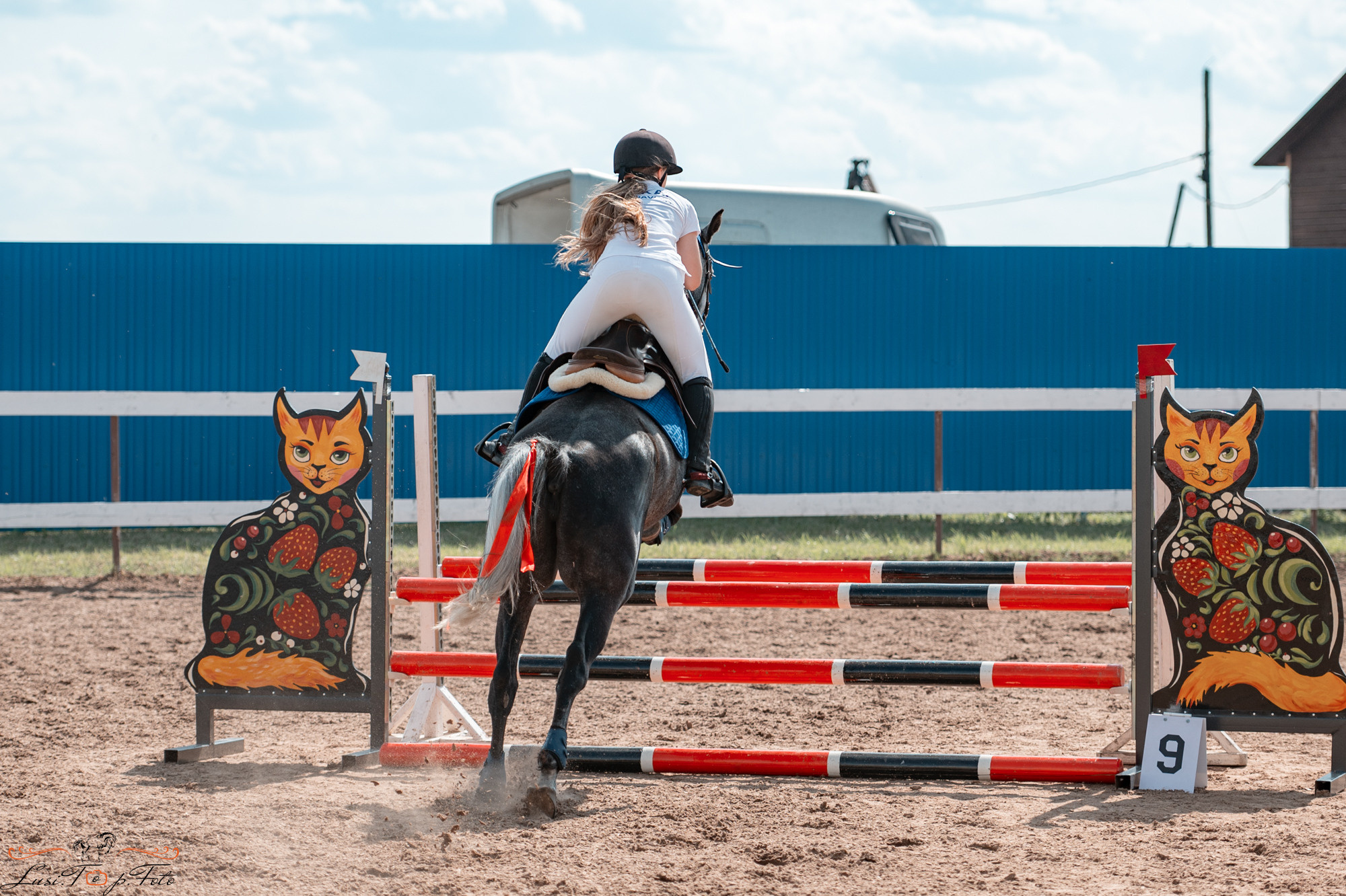 Конкур в КК «Резвая». Конный и фотограф с животными в Твери Топталова Люся