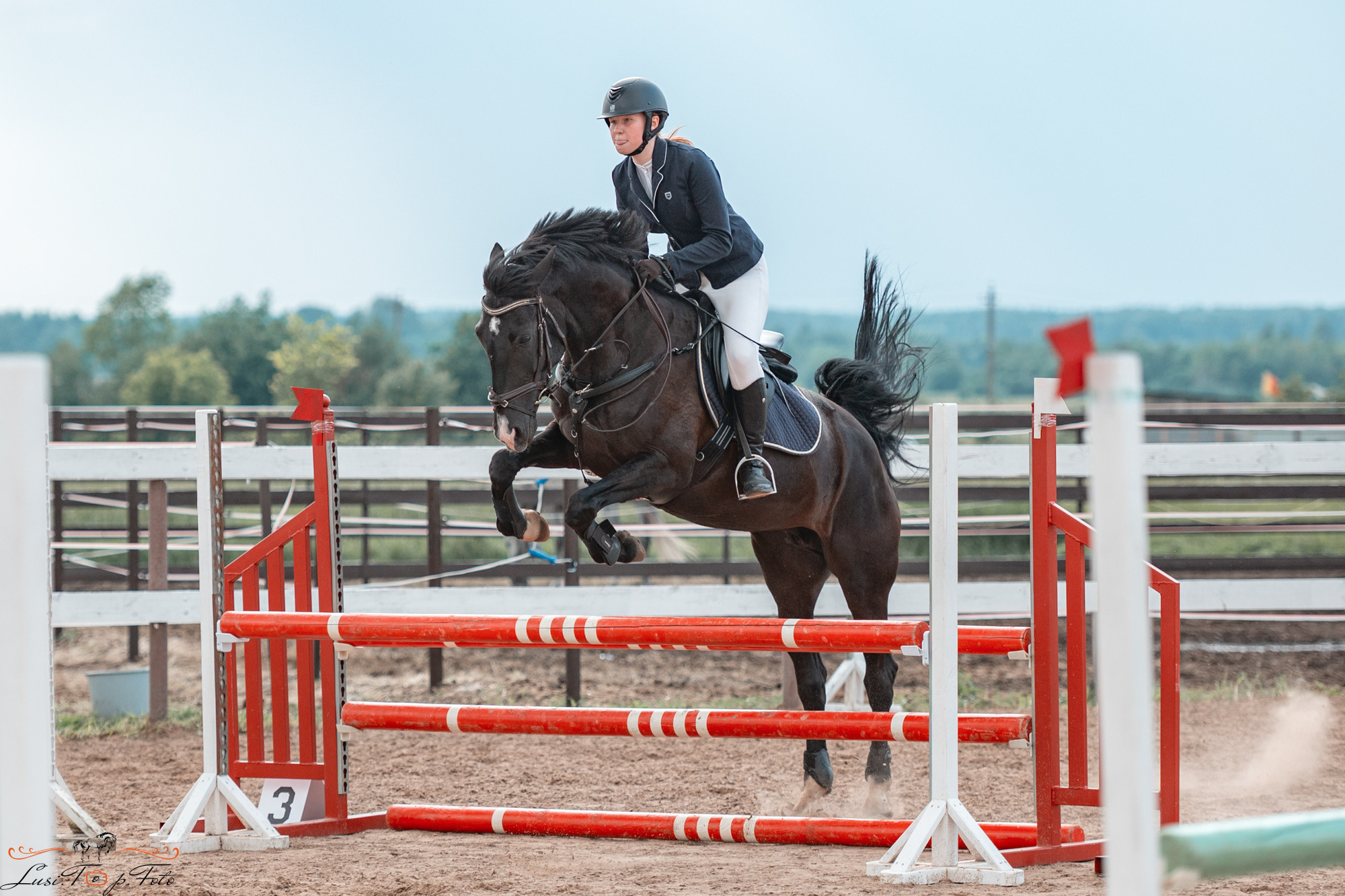 Конкур в КК «Резвая». Конный и фотограф с животными в Твери Топталова Люся