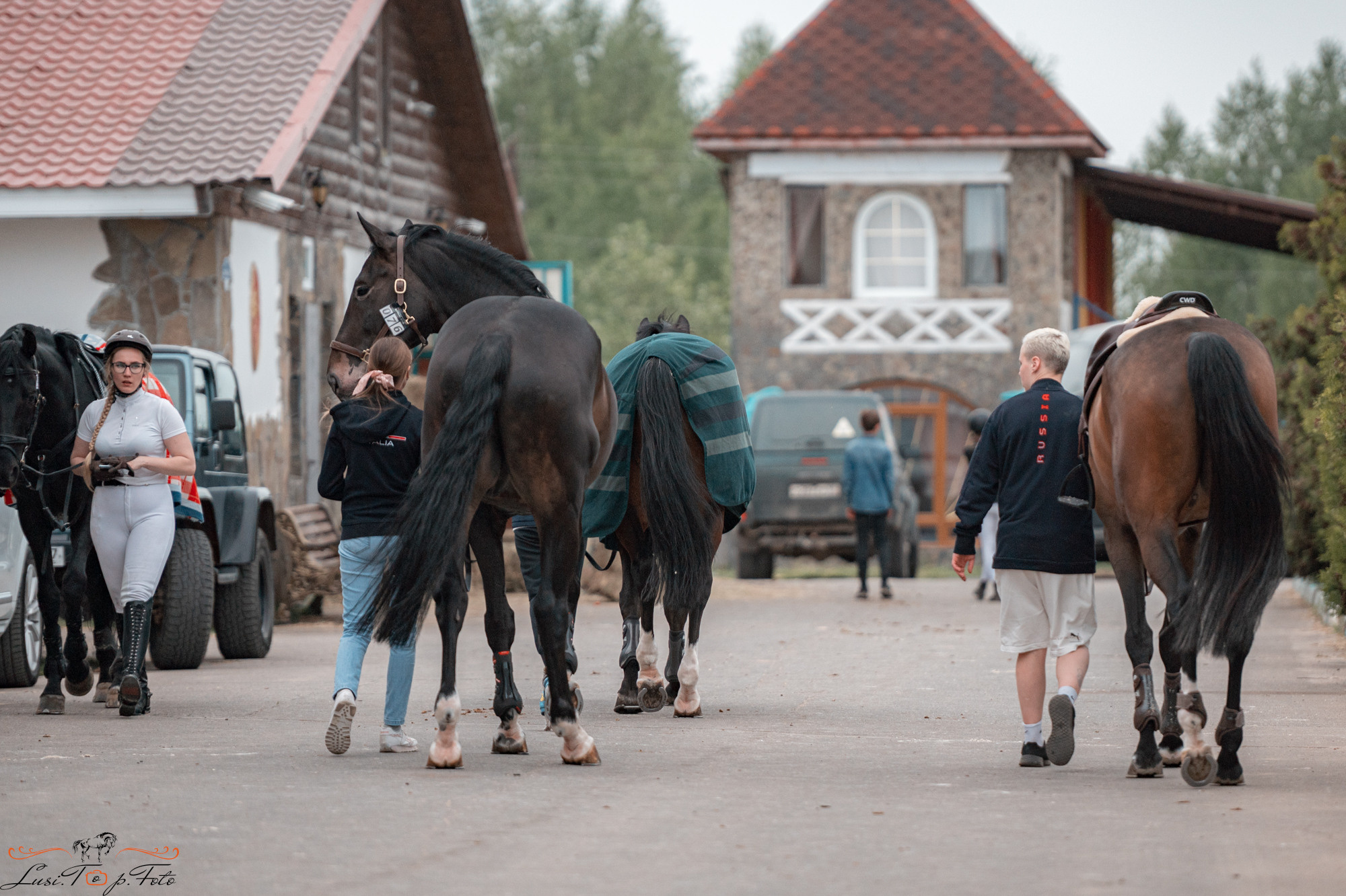 Конаковские Конюшни день 1. Конный и фотограф с животными в Твери Топталова Люся