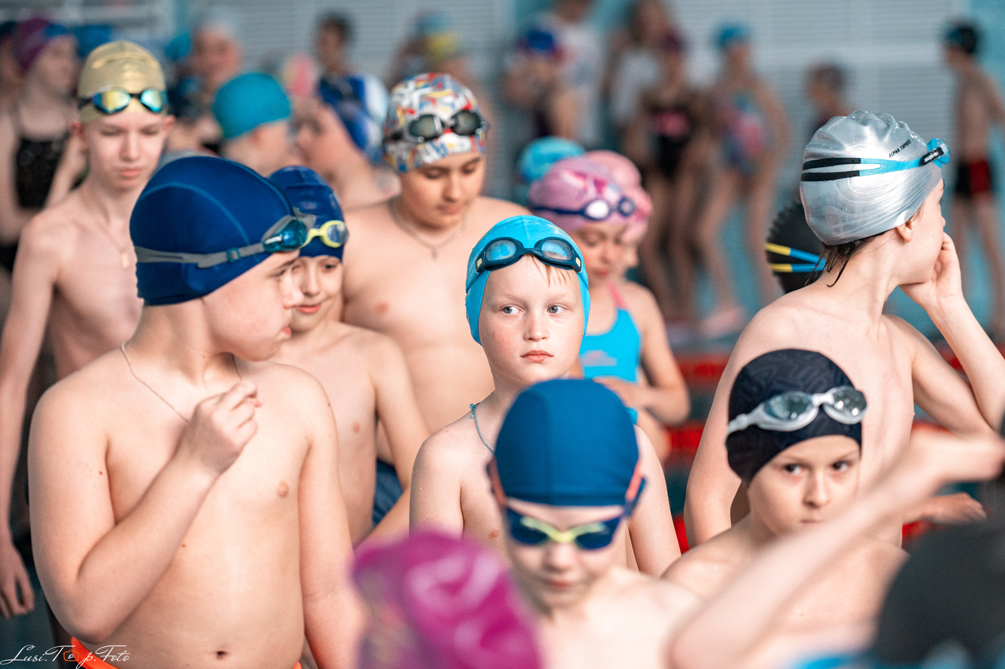 Соревнования по плаванию «Весенние веселые старты». Конный и фотограф с животными в Твери Топталова Люся