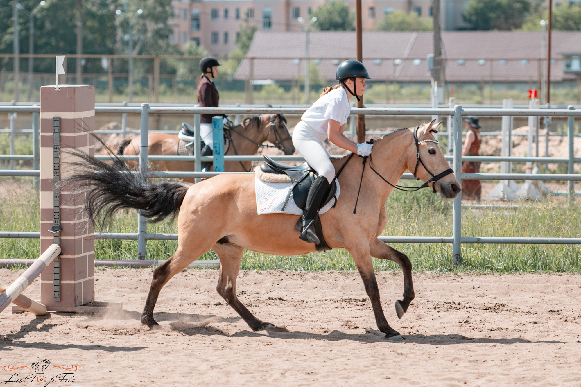 Областные соревнования по конкуру. Тверь. Конный и фотограф с животными в Твери Топталова Люся