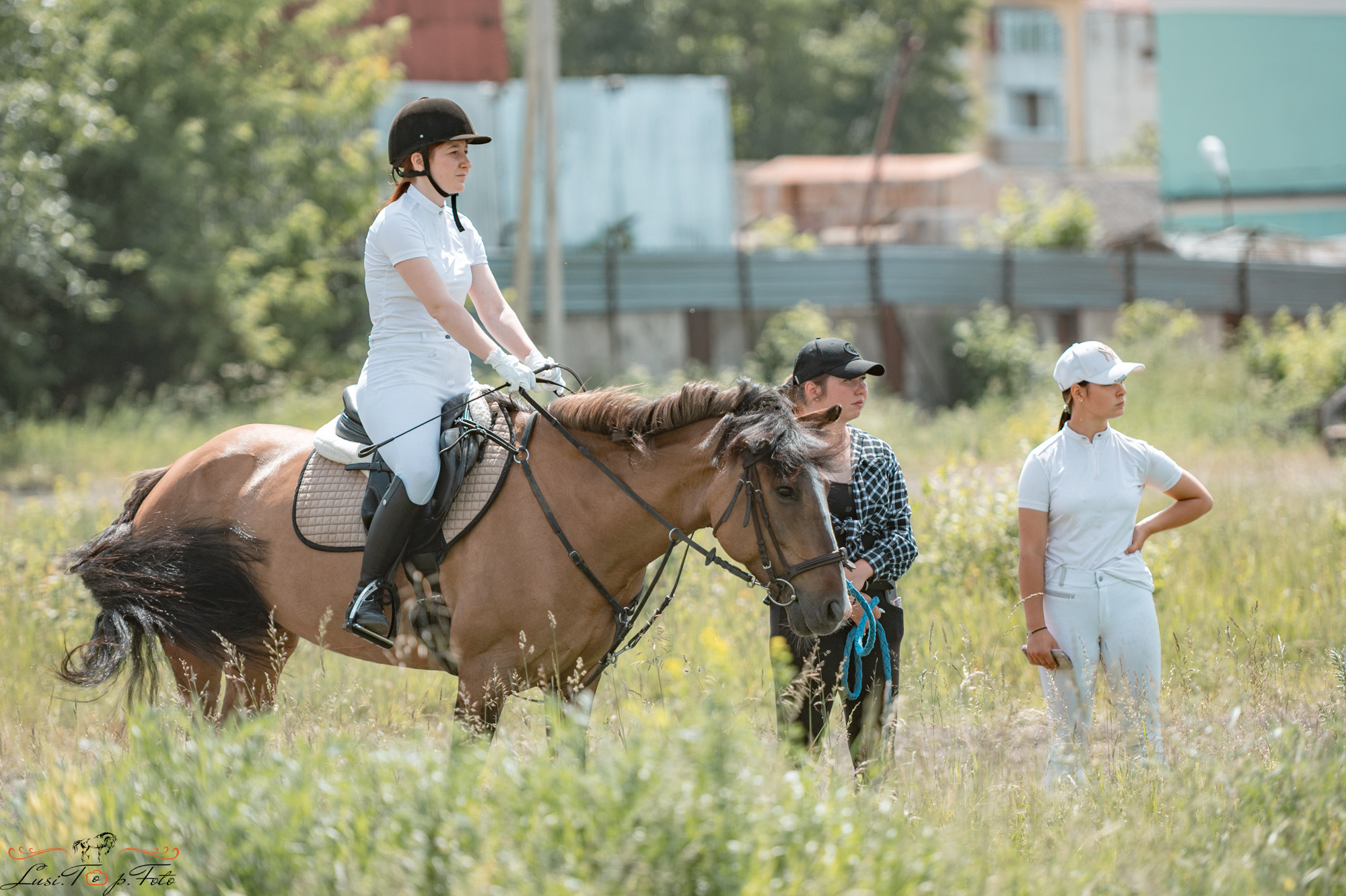 Областные соревнования по конкуру. Тверь. Конный и фотограф с животными в Твери Топталова Люся