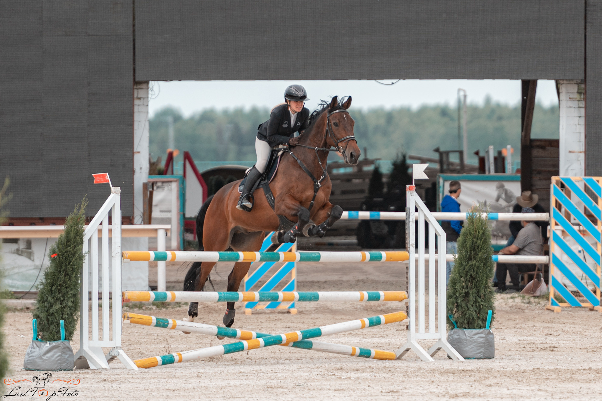 Конаковские Конюшни день 1. Конный и фотограф с животными в Твери Топталова Люся