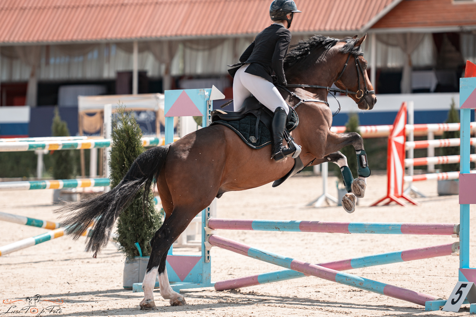 Конаковские Конюшни 3 день. Конный и фотограф с животными в Твери Топталова Люся