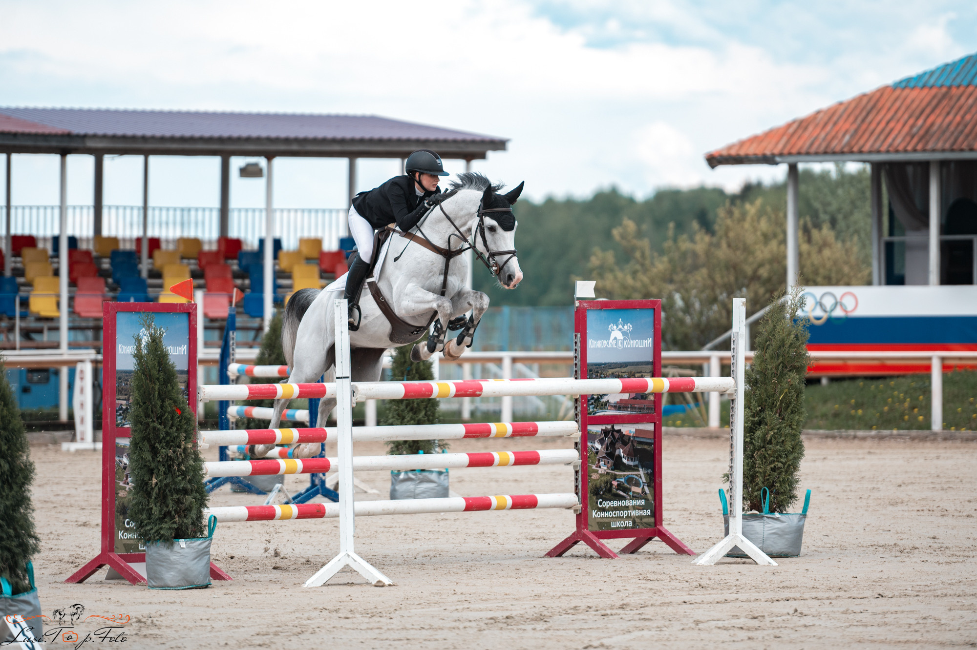 Конаковские Конюшни 4 день. Конный и фотограф с животными в Твери Топталова Люся