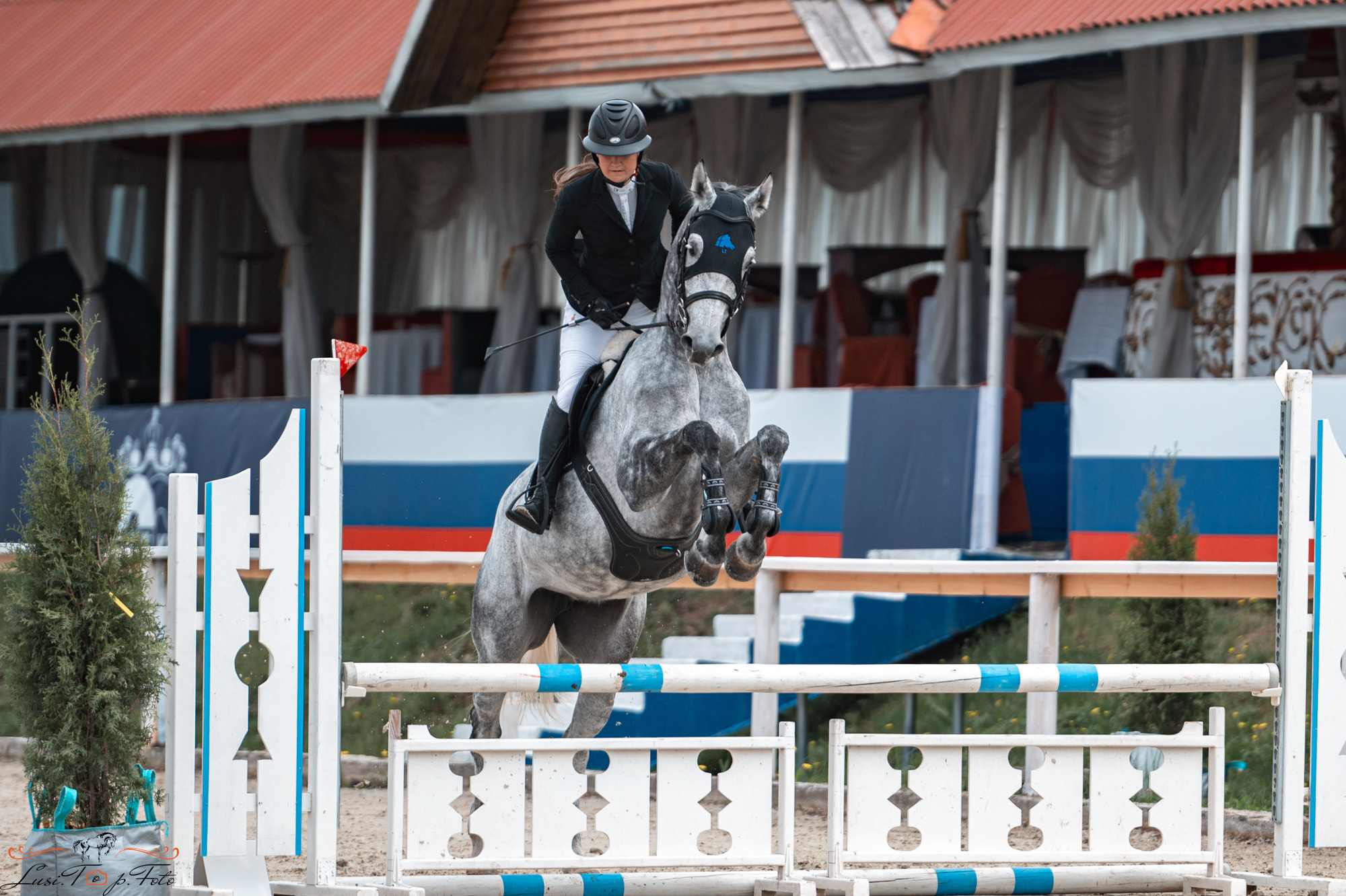 Конаковские Конюшни 4 день. Конный и фотограф с животными в Твери Топталова Люся