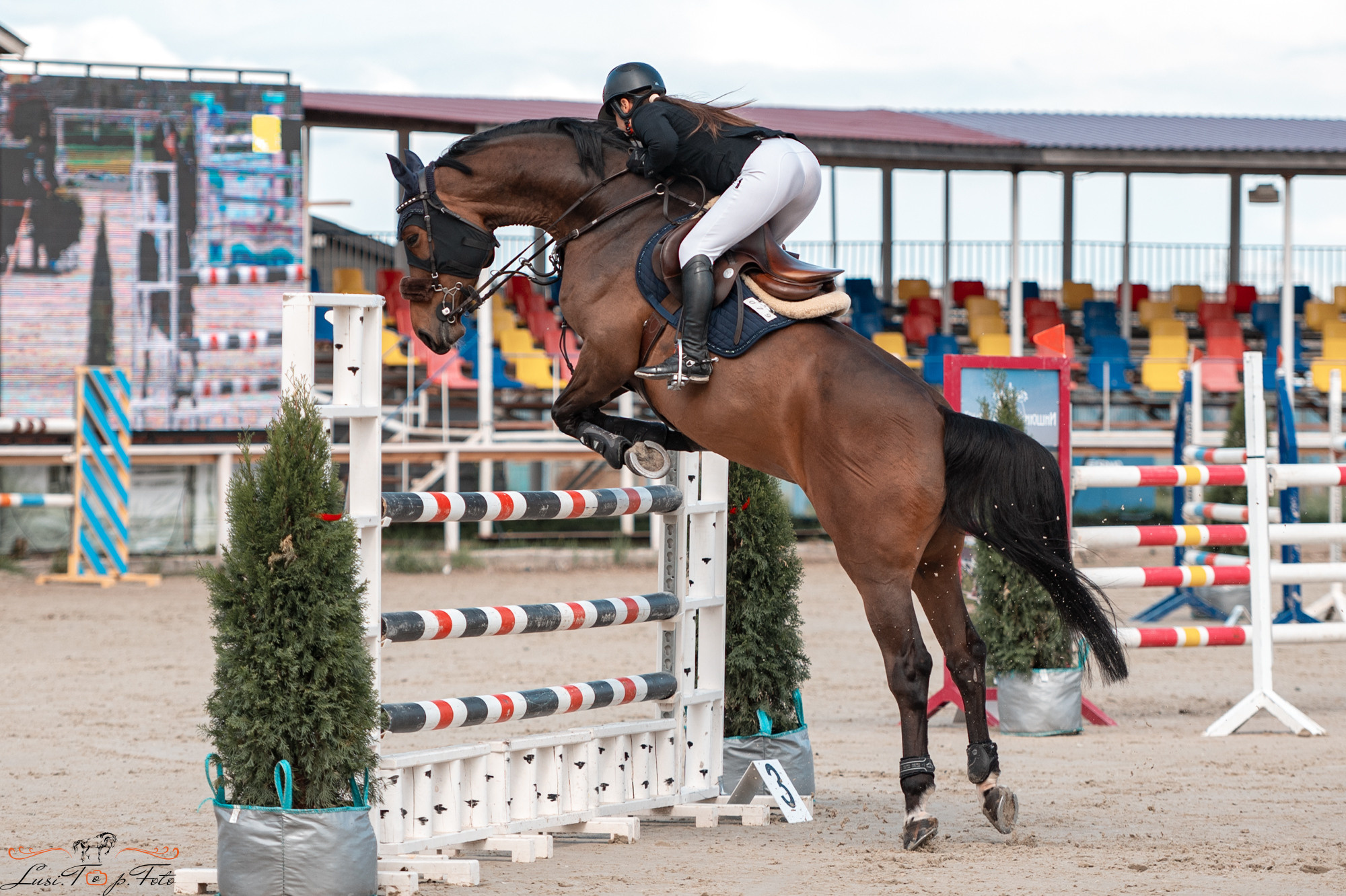 Конаковские Конюшни 4 день. Конный и фотограф с животными в Твери Топталова Люся