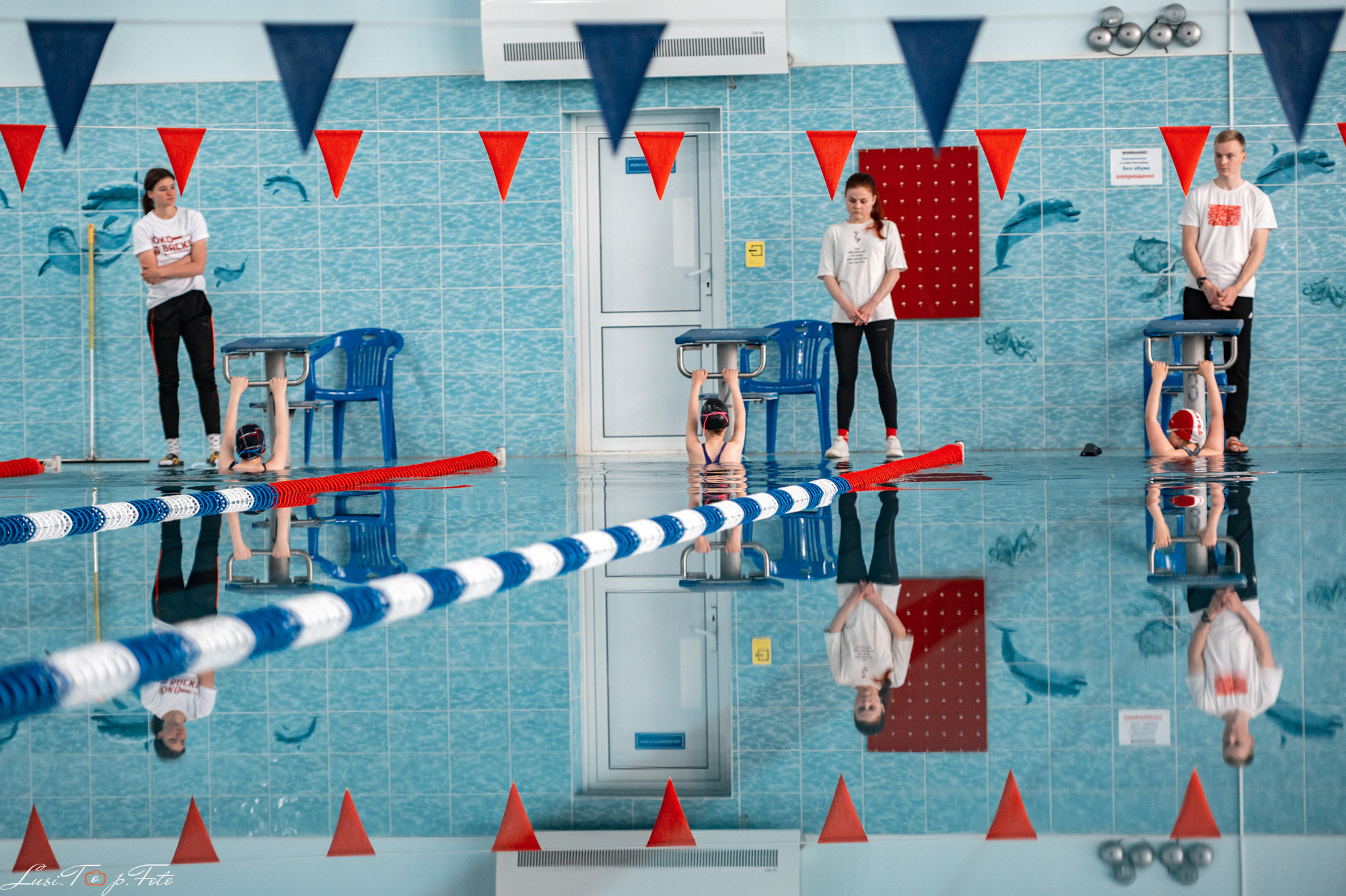 Соревнования по плаванию «Весенние веселые старты». Конный и фотограф с животными в Твери Топталова Люся