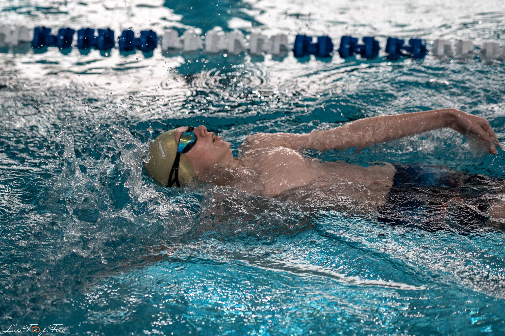 Соревнования по плаванию «Весенние веселые старты». Конный и фотограф с животными в Твери Топталова Люся