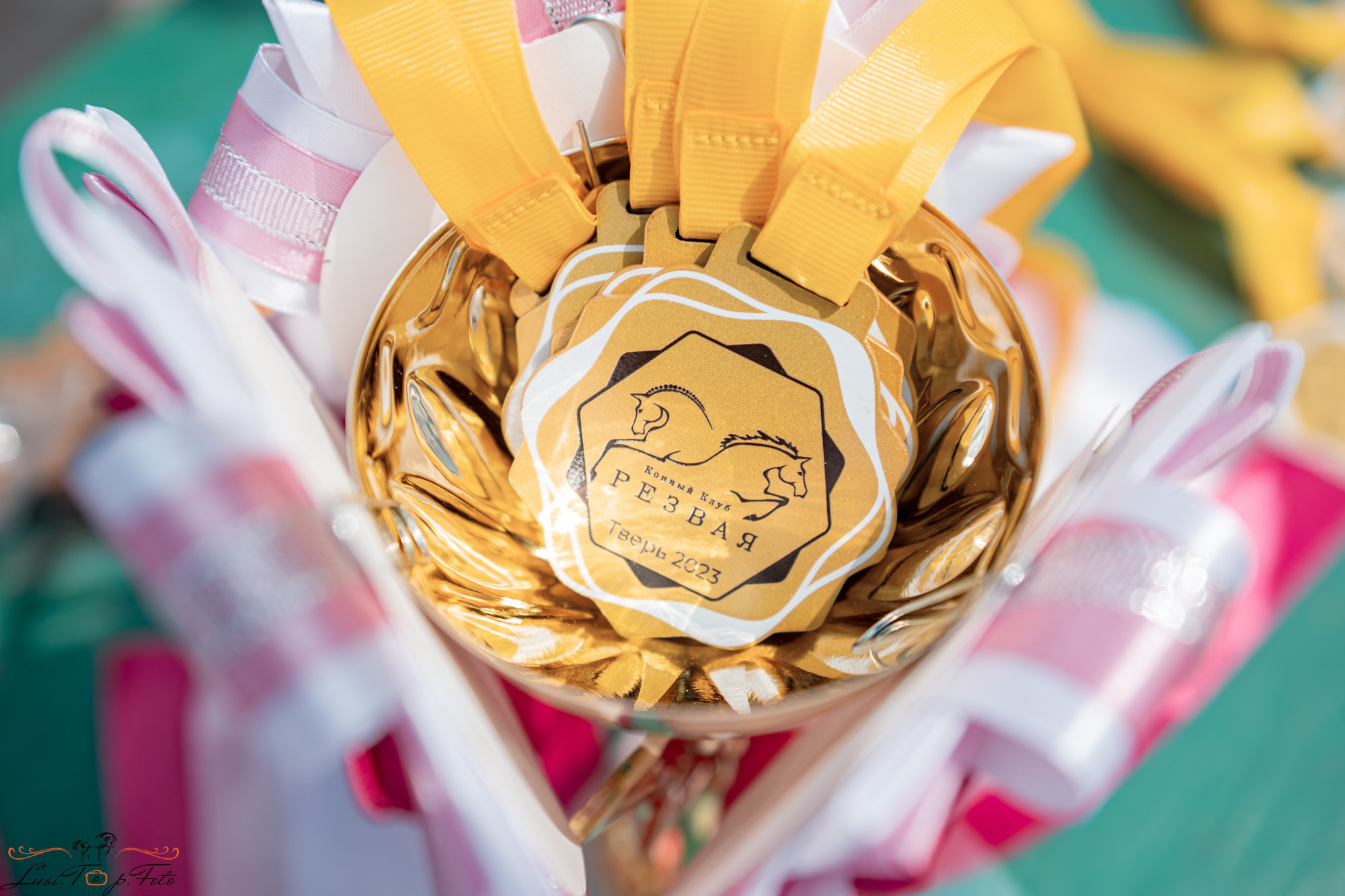 Конкур в КК «Резвая». Конный и фотограф с животными в Твери Топталова Люся