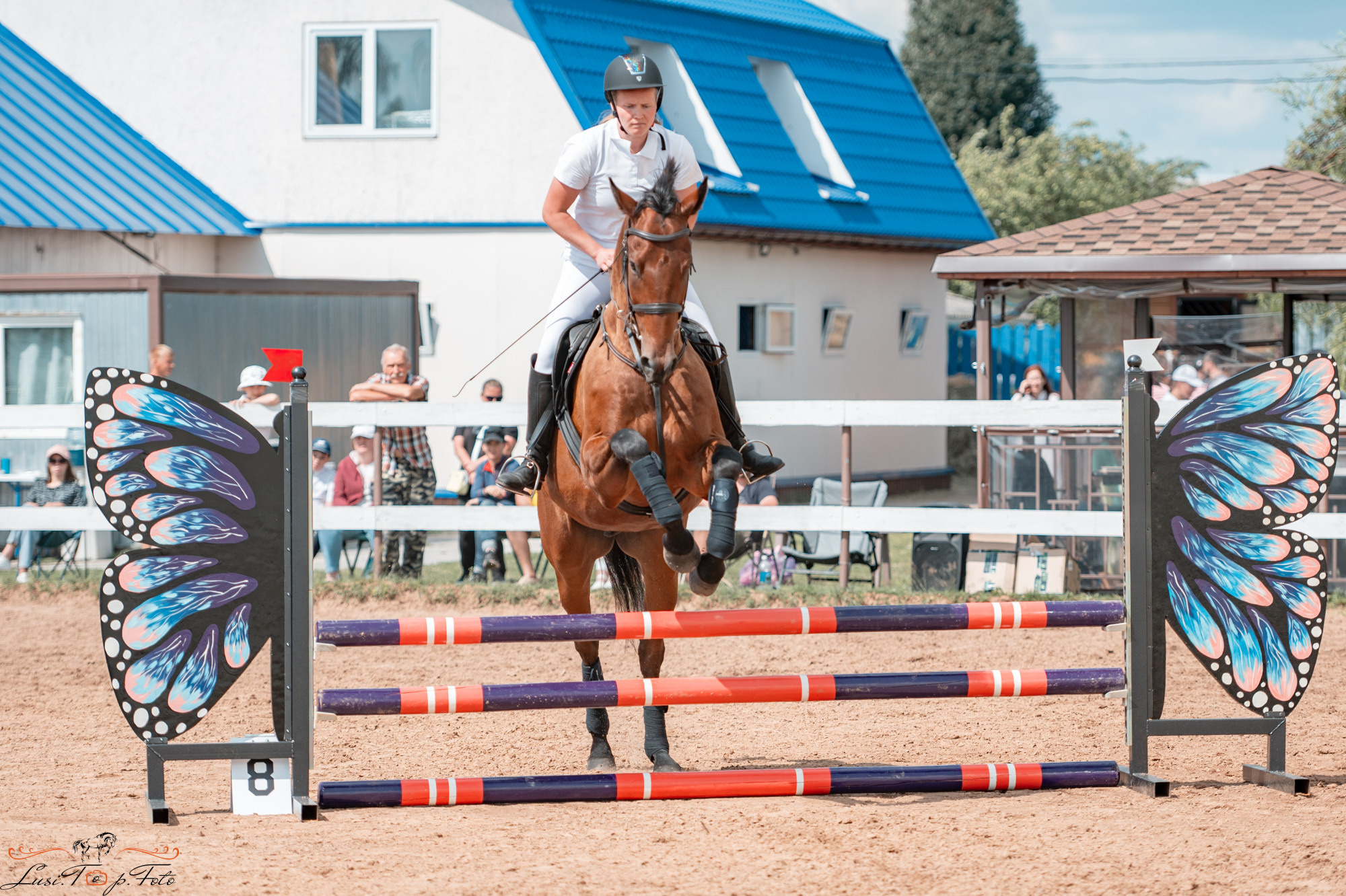 Конкур в КК «Резвая». Конный и фотограф с животными в Твери Топталова Люся