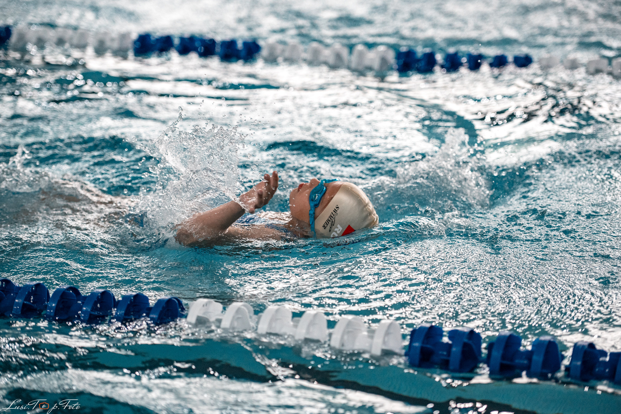 Соревнования по плаванию «Весенние веселые старты». Конный и фотограф с животными в Твери Топталова Люся